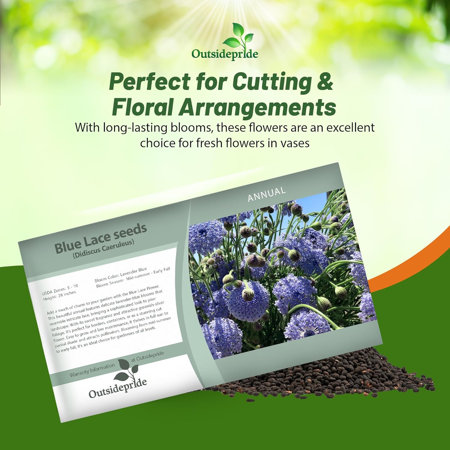 Blue Lace Flower Seed Packet