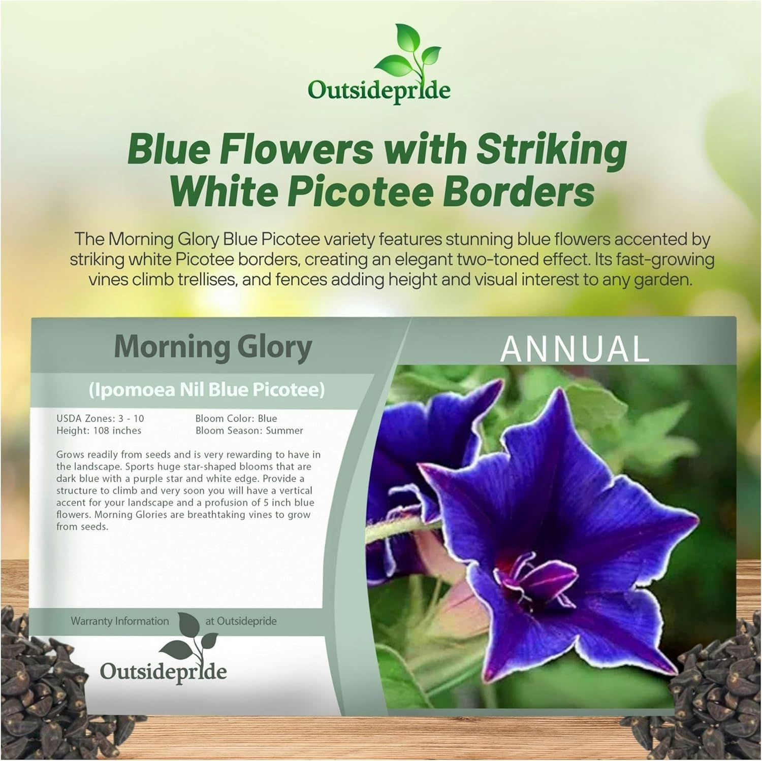 Japanese Morning Glory Blue Picotee Packet