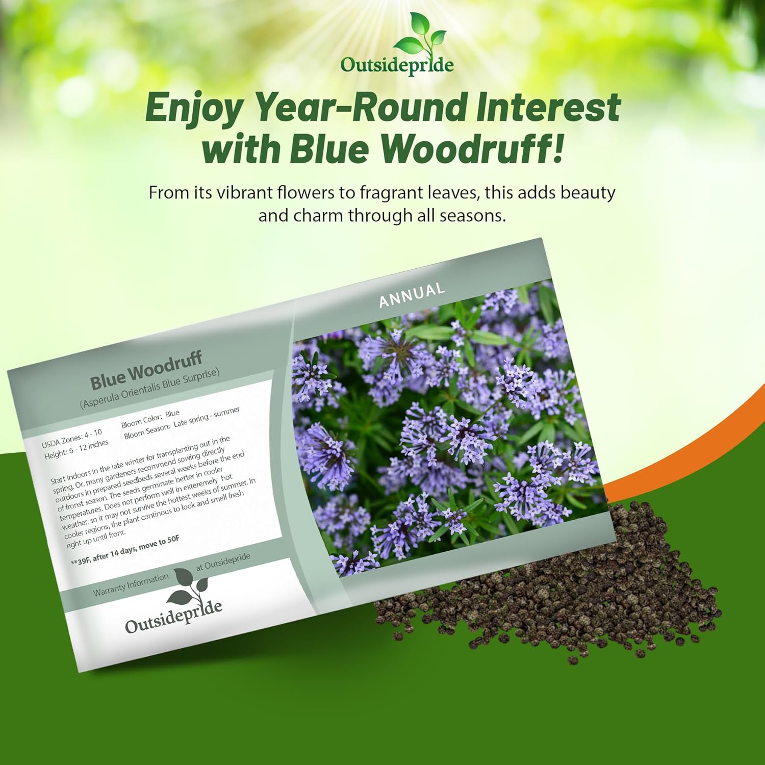 Blue Woodruff Herb Seed Packet