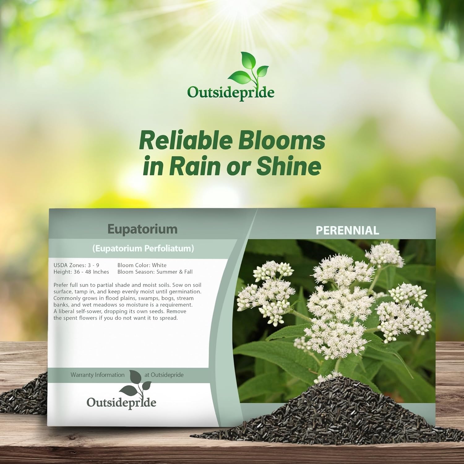 Eupatorium Perfoliatum Seed Packet