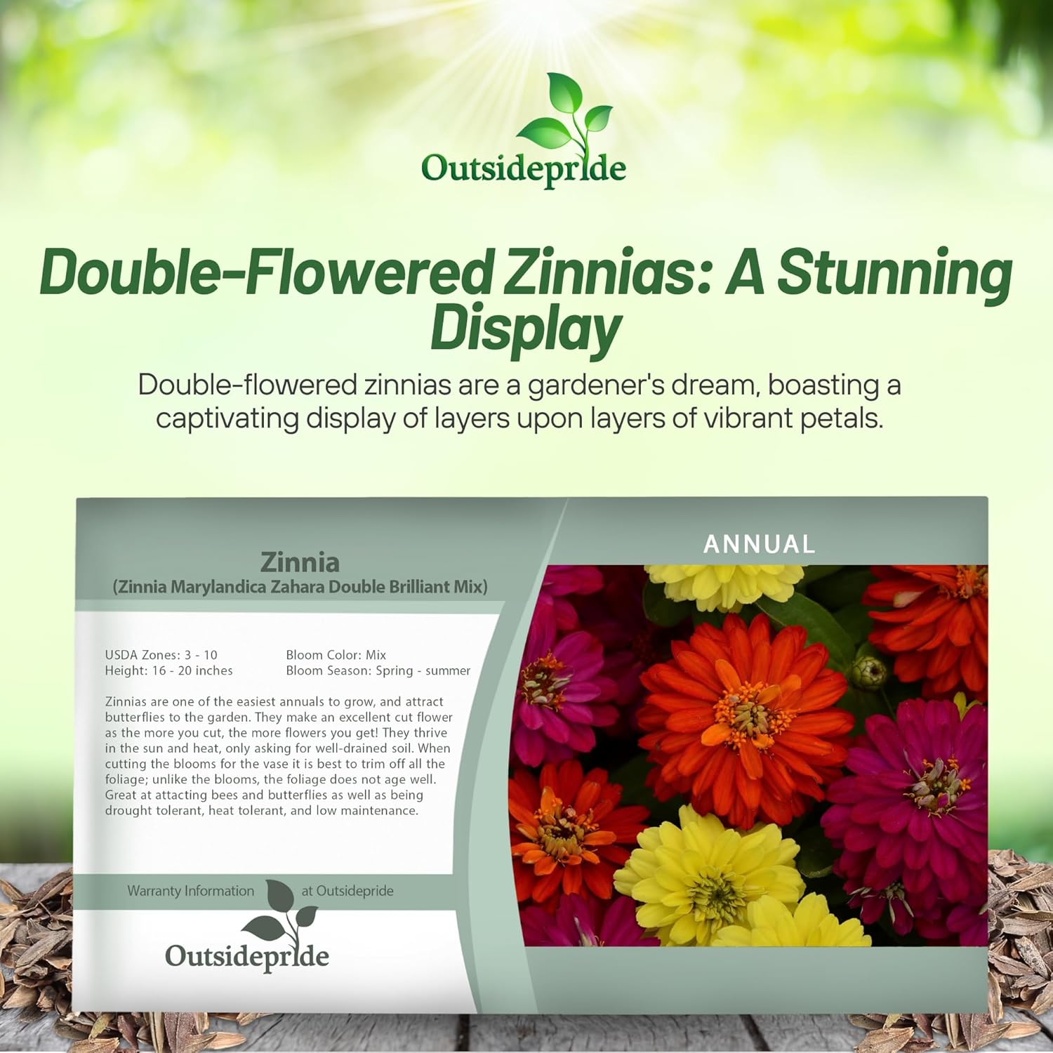 Zinnia Zahara Double Brilliant Seed Packet