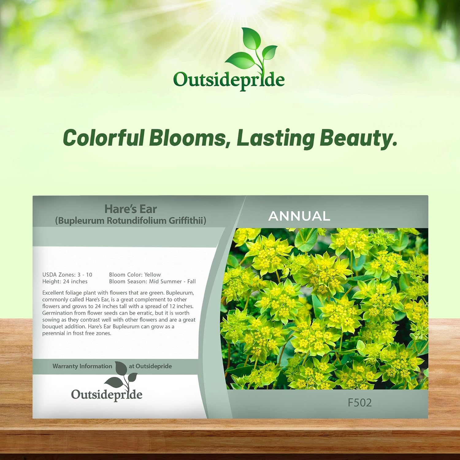Bupleurum Flower Seed Packet