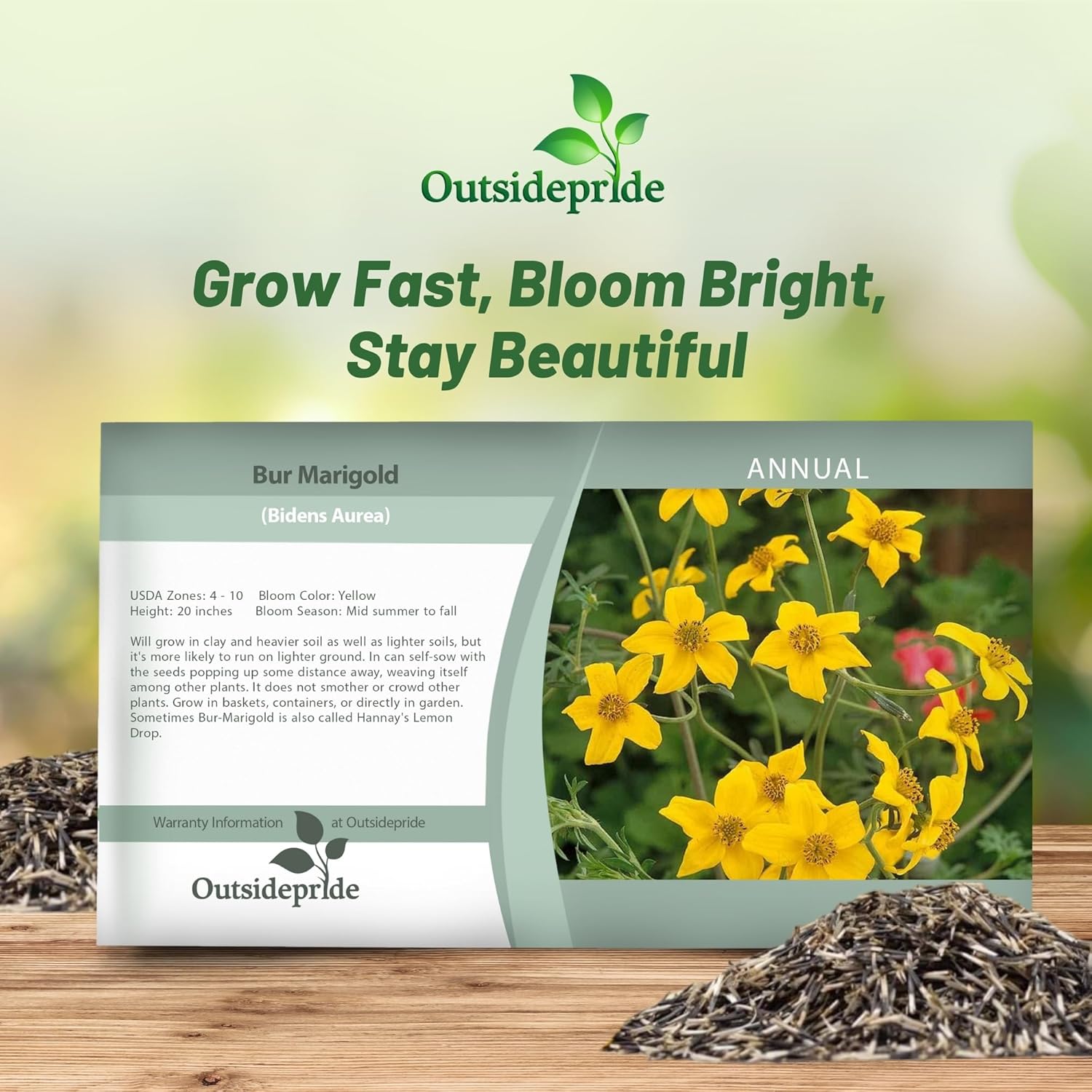 Bur Marigold Flower Seed Packet