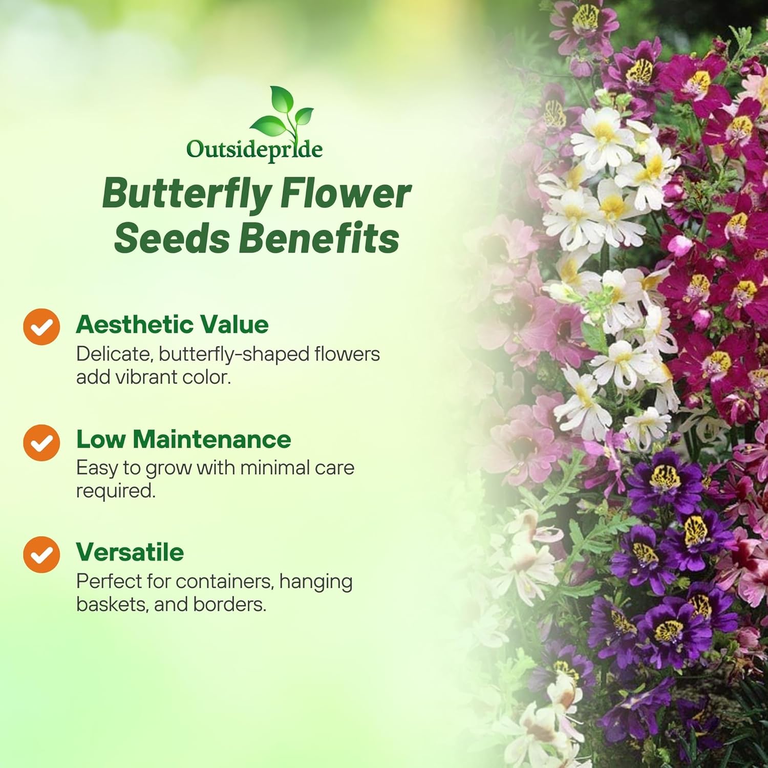 Butterfly Flower Angel Wings Garden