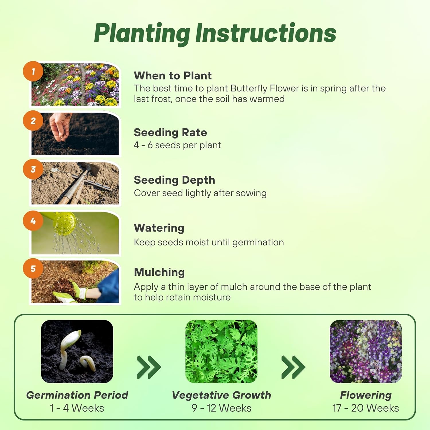 Butterfly Flower Seed Planting Directions