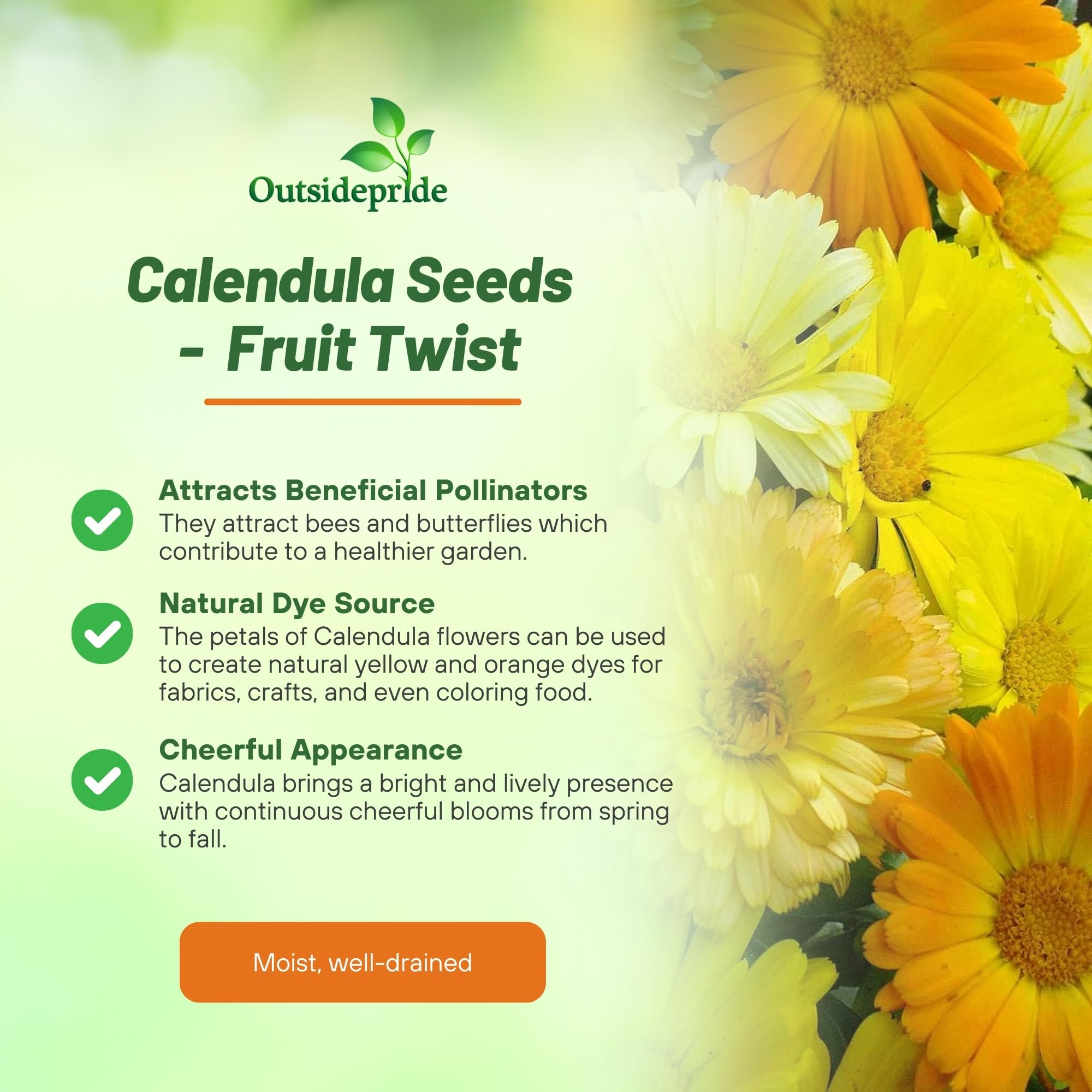 Calendula Fruit Twist Flower Benefits
