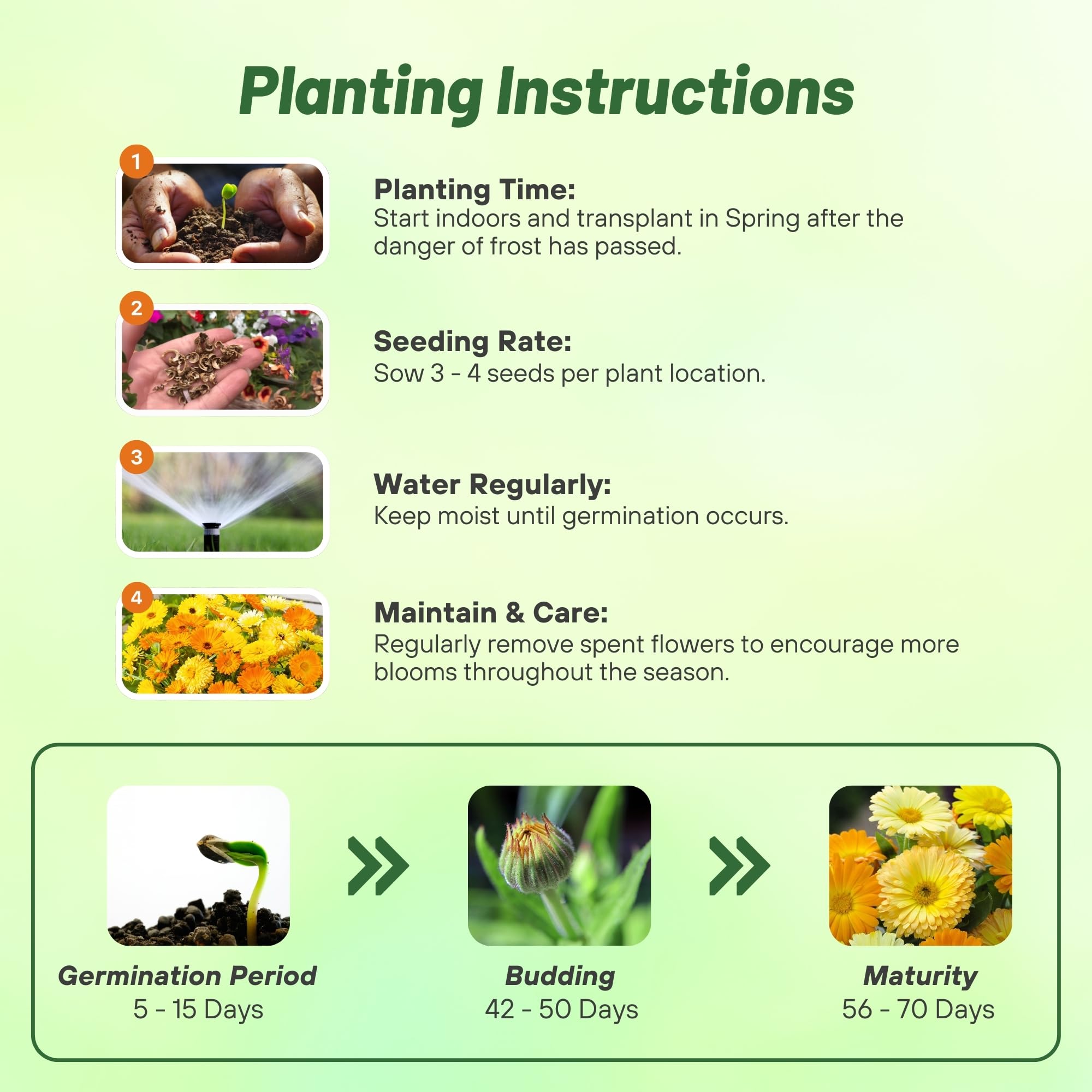 Calendula Fruit Twist Flower Planting Directions
