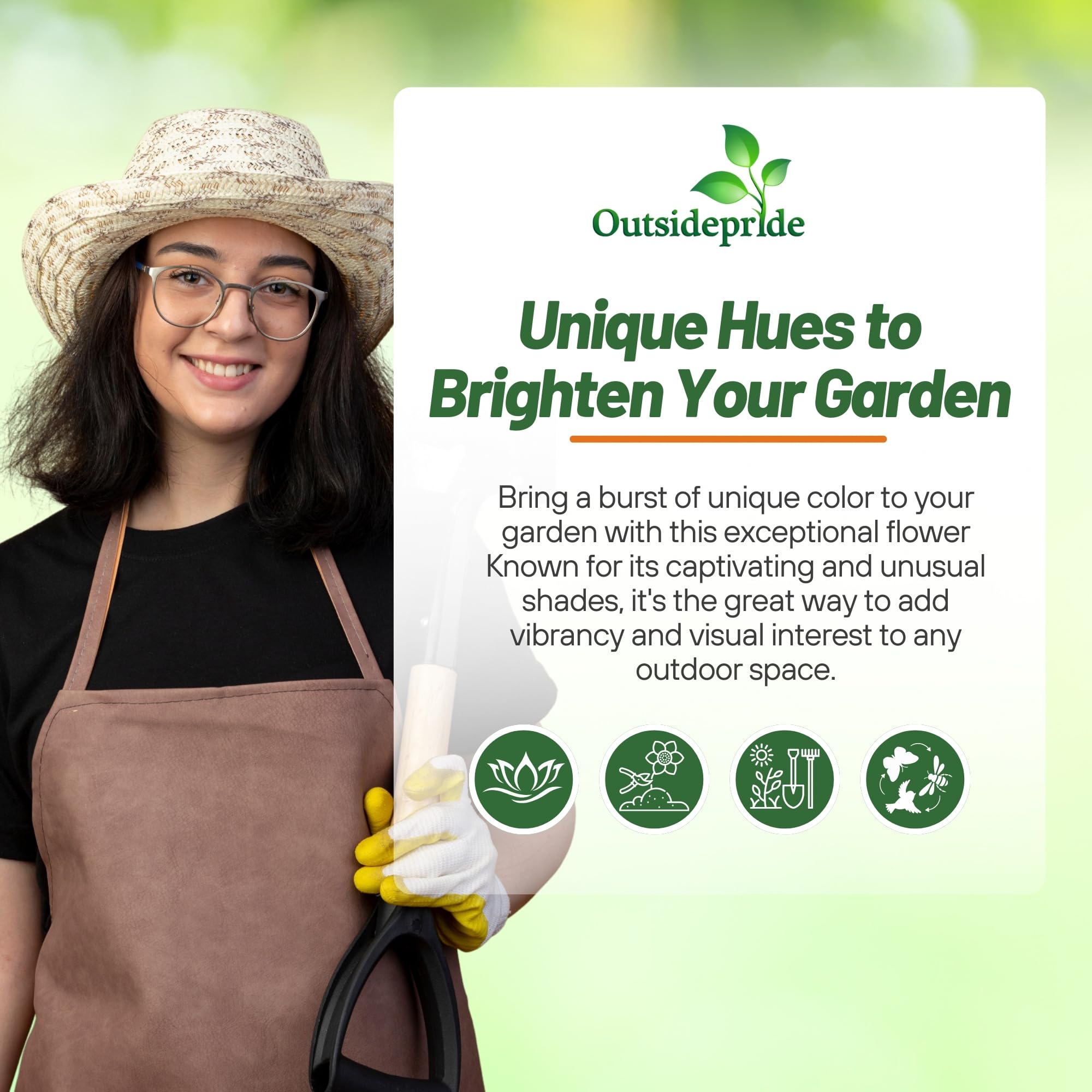 Calendula Geisha Girl Growing Guide
