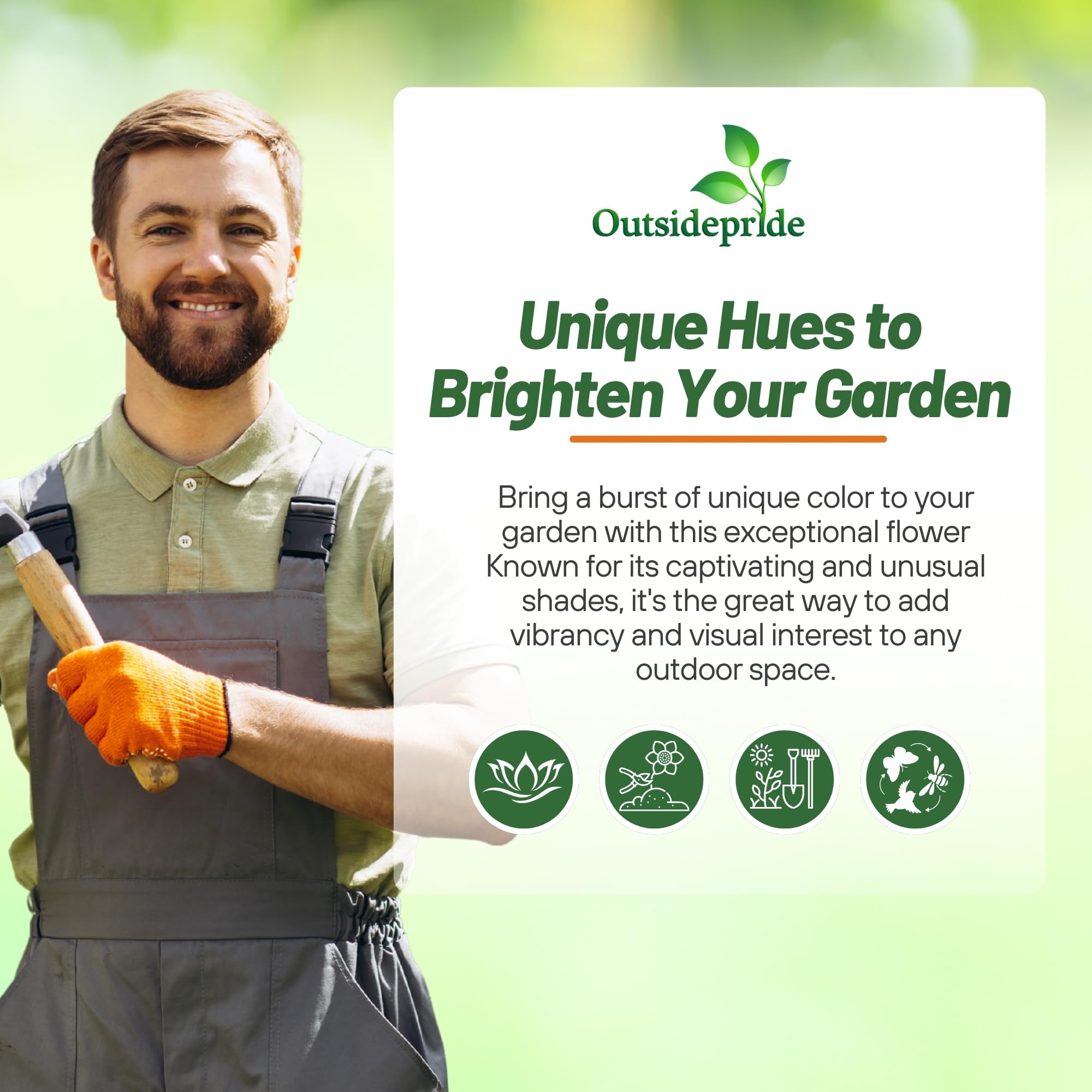 Calendula Orange Flash Growing Guide