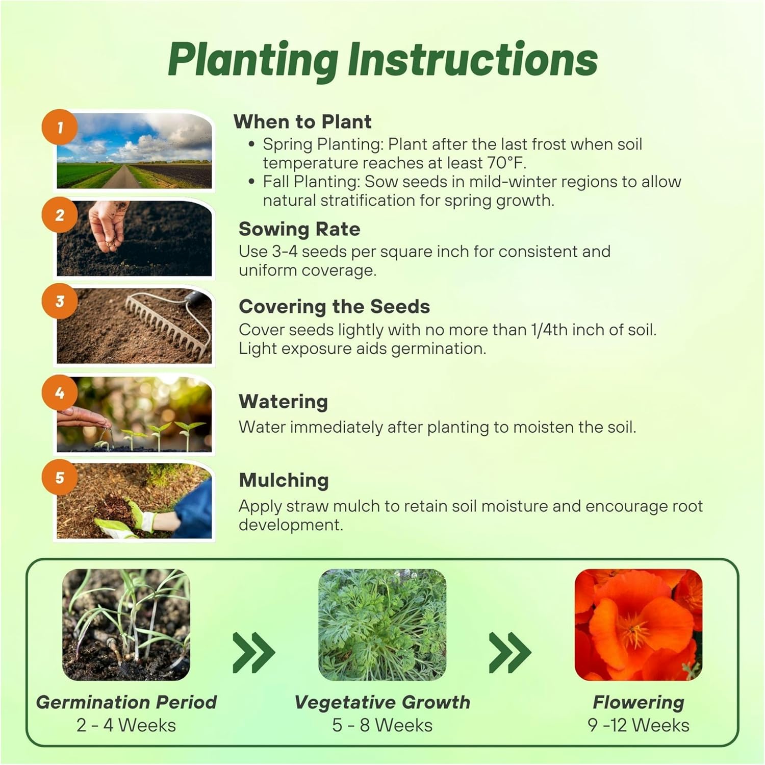 California Poppy Copper Pot Planting Directions