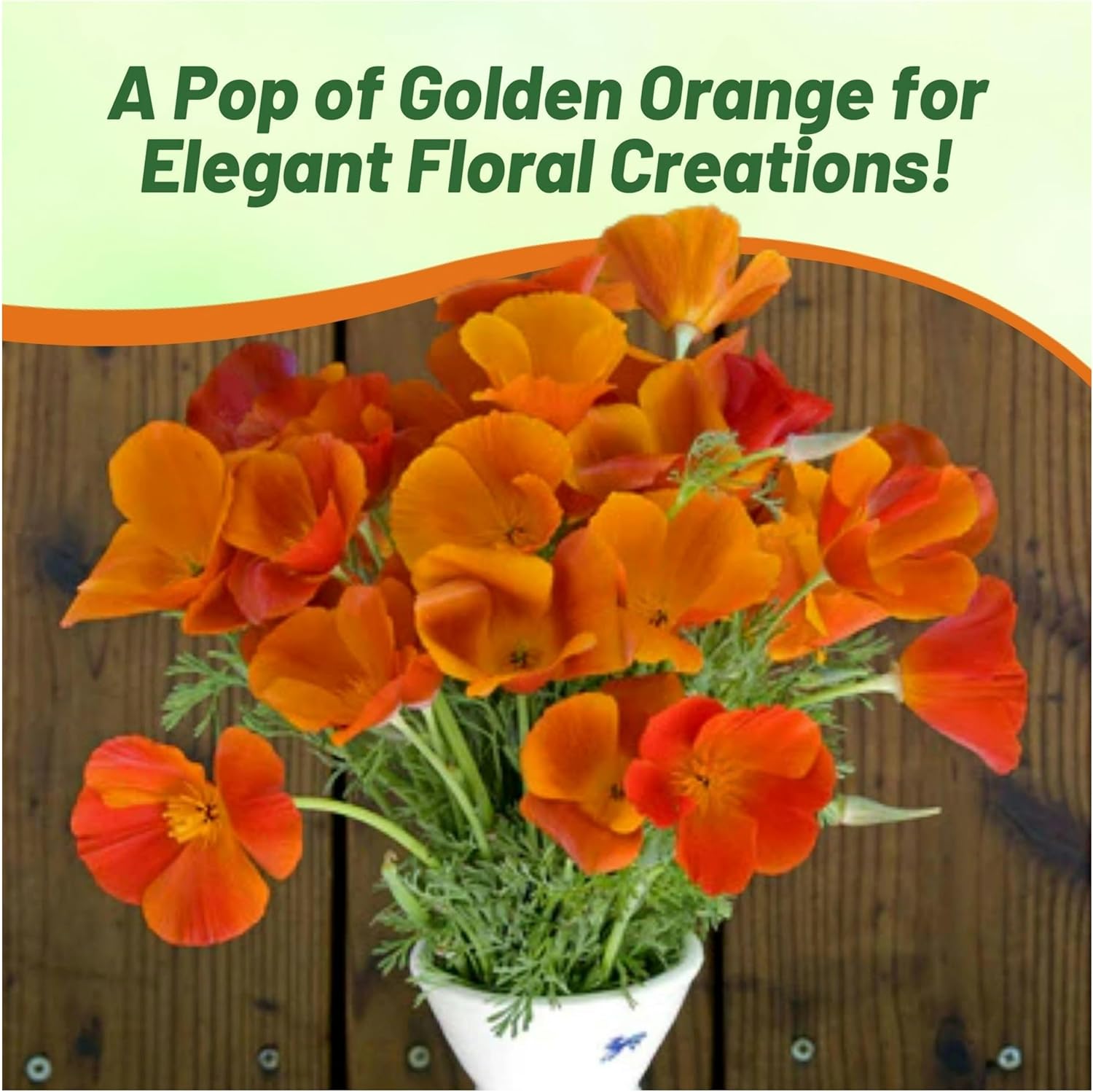 Drought Tolerant California Poppy Copper Pot