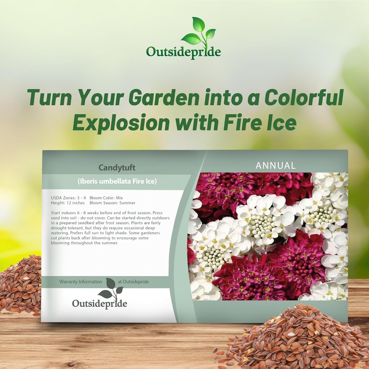 Candytuft Fire Ice Flower Seed Packet