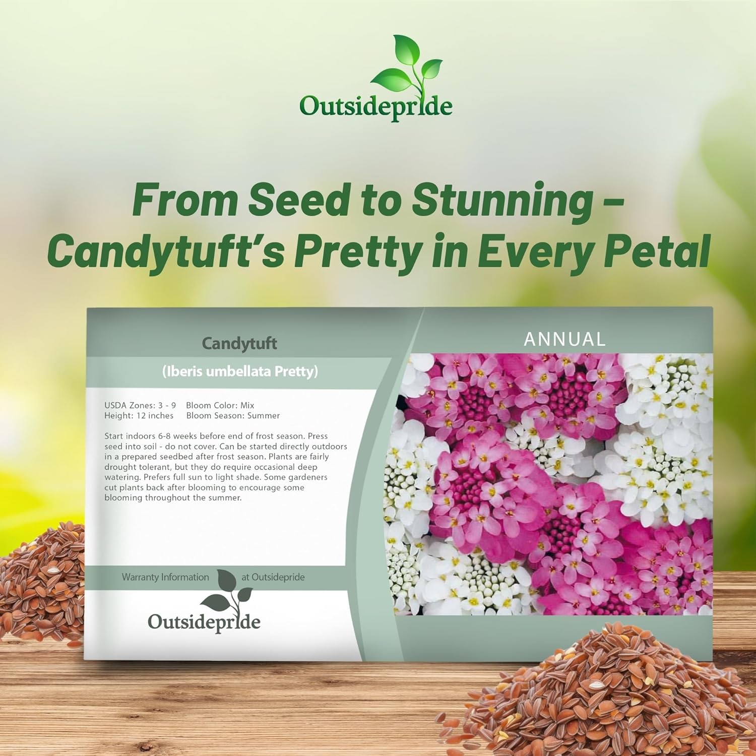 Candytuft Pretty Flower Seed Packet