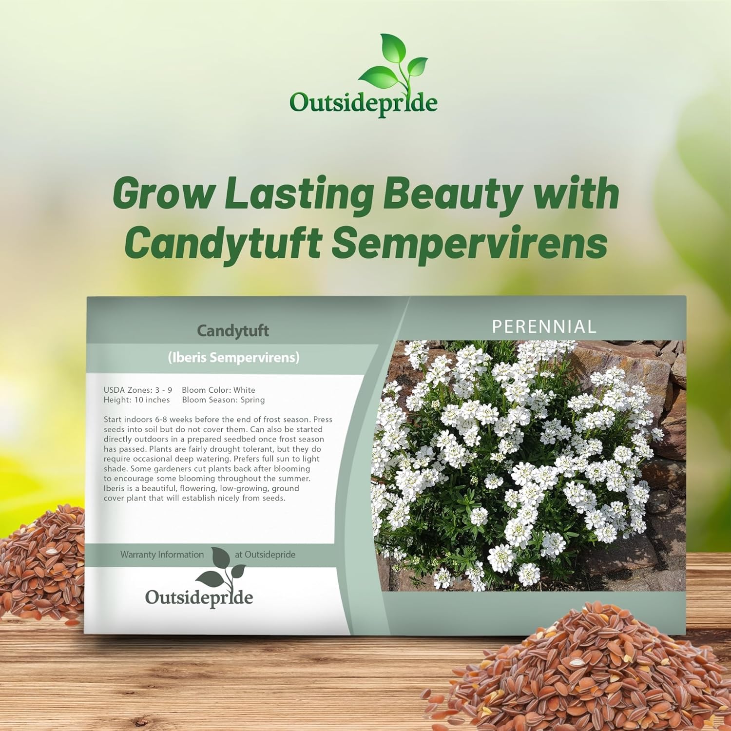 Candytuft Sempervirens Flower Seed Packet
