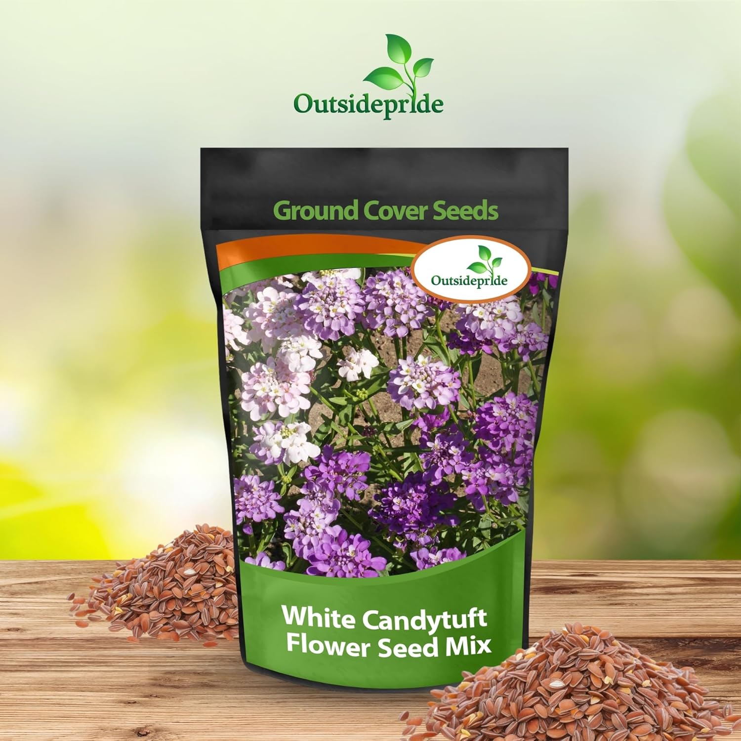 Candytuft Wild Flower Seed Packet