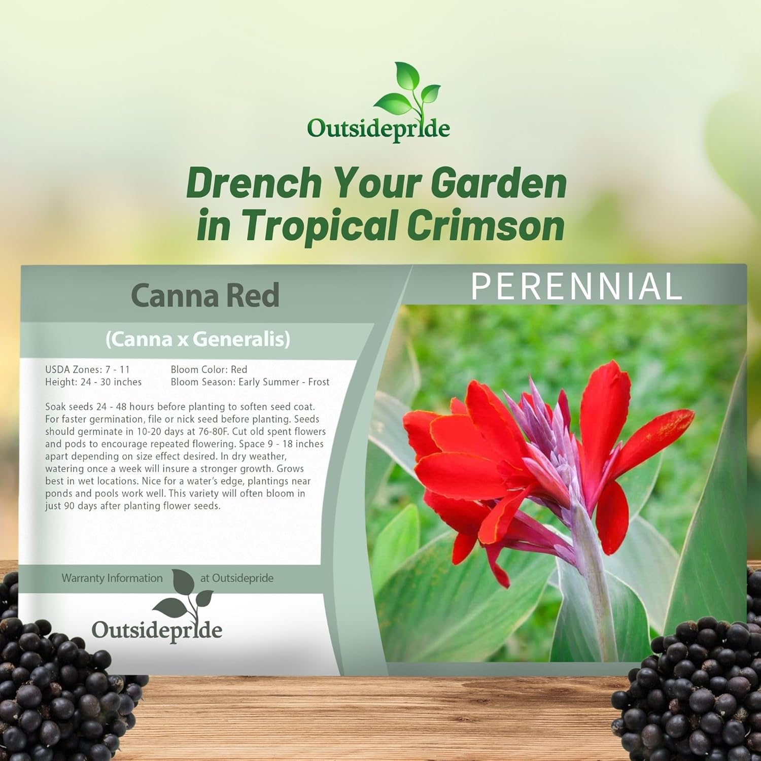Canna Red Flower Seed Packet