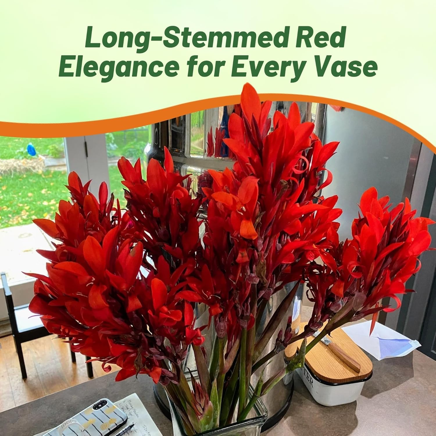 Canna Red Flower Container Plant
