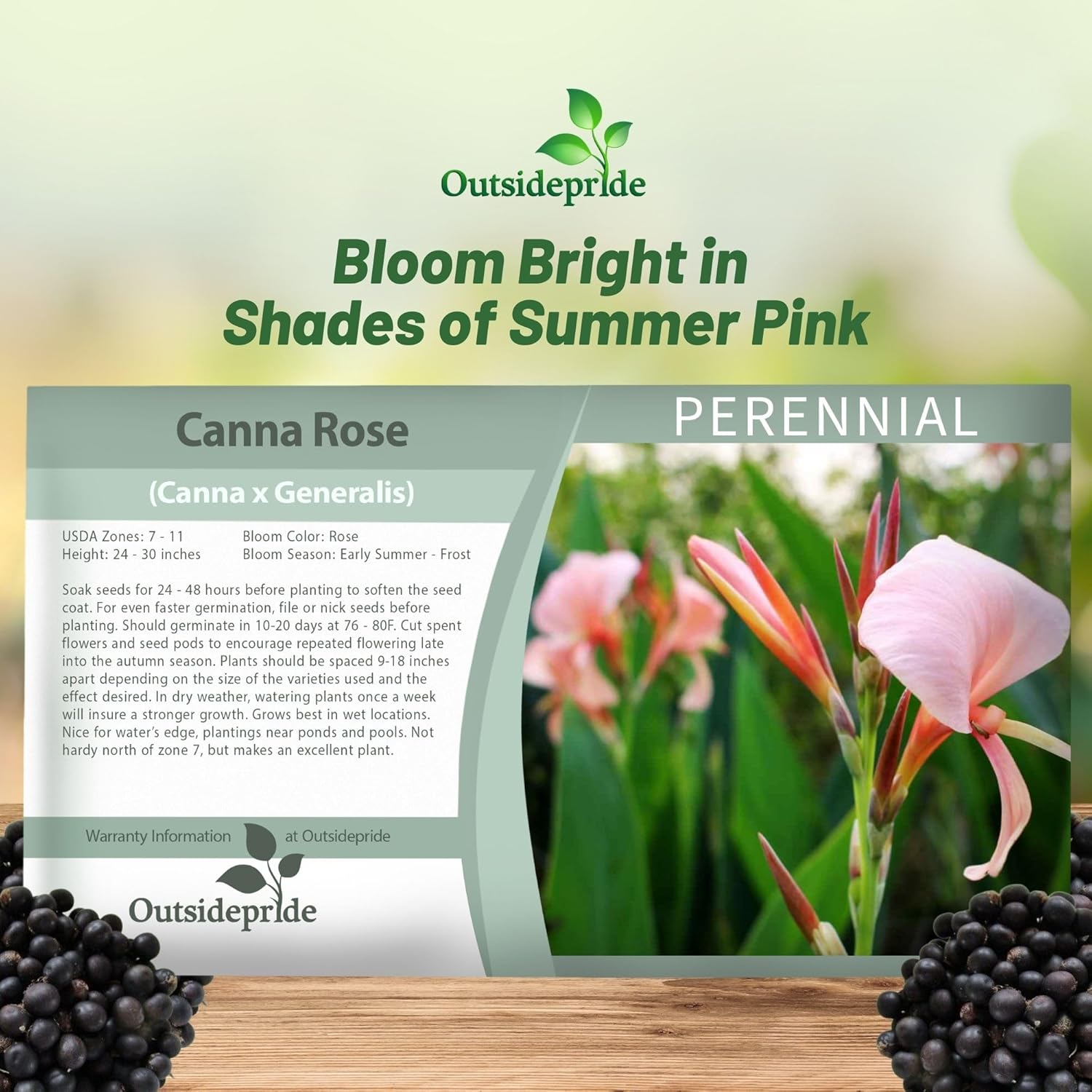 Canna Rose Flower Seed Packet