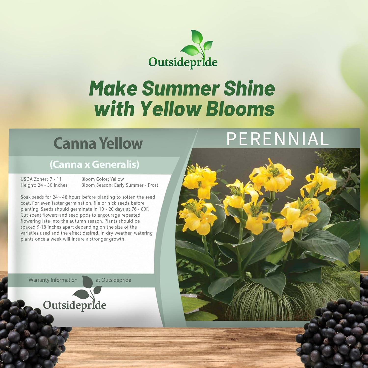 Perennial Canna Yellow Seed Packet