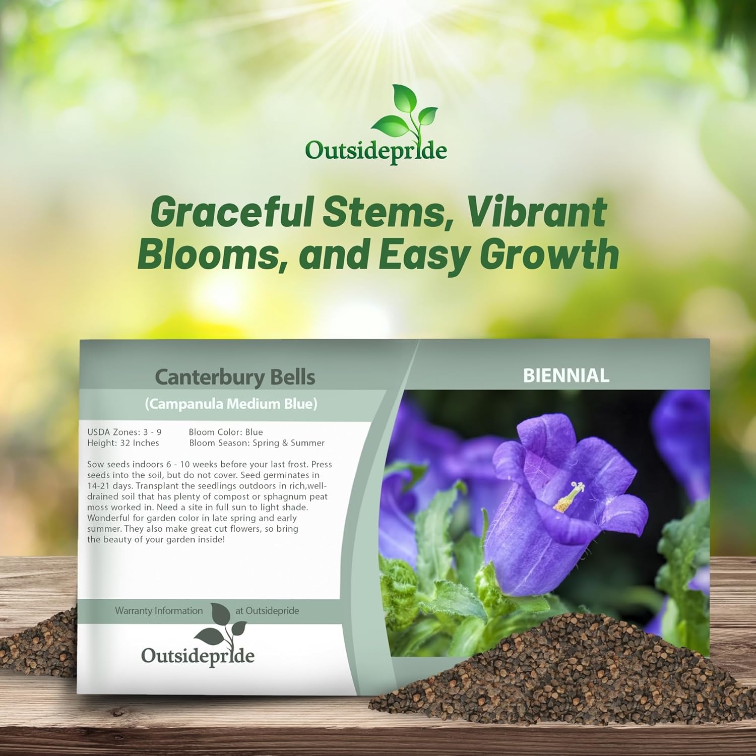 Campanula Medium Blue Flower Seed Packet