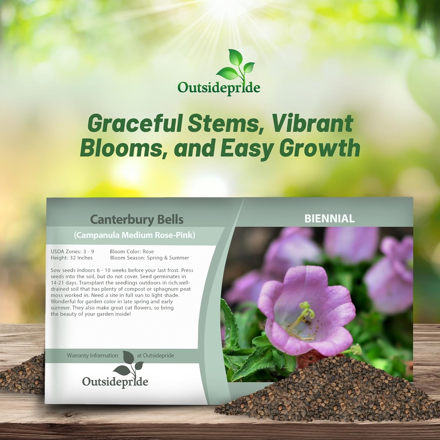 Campanula Medium Rose-pink Seed Packet