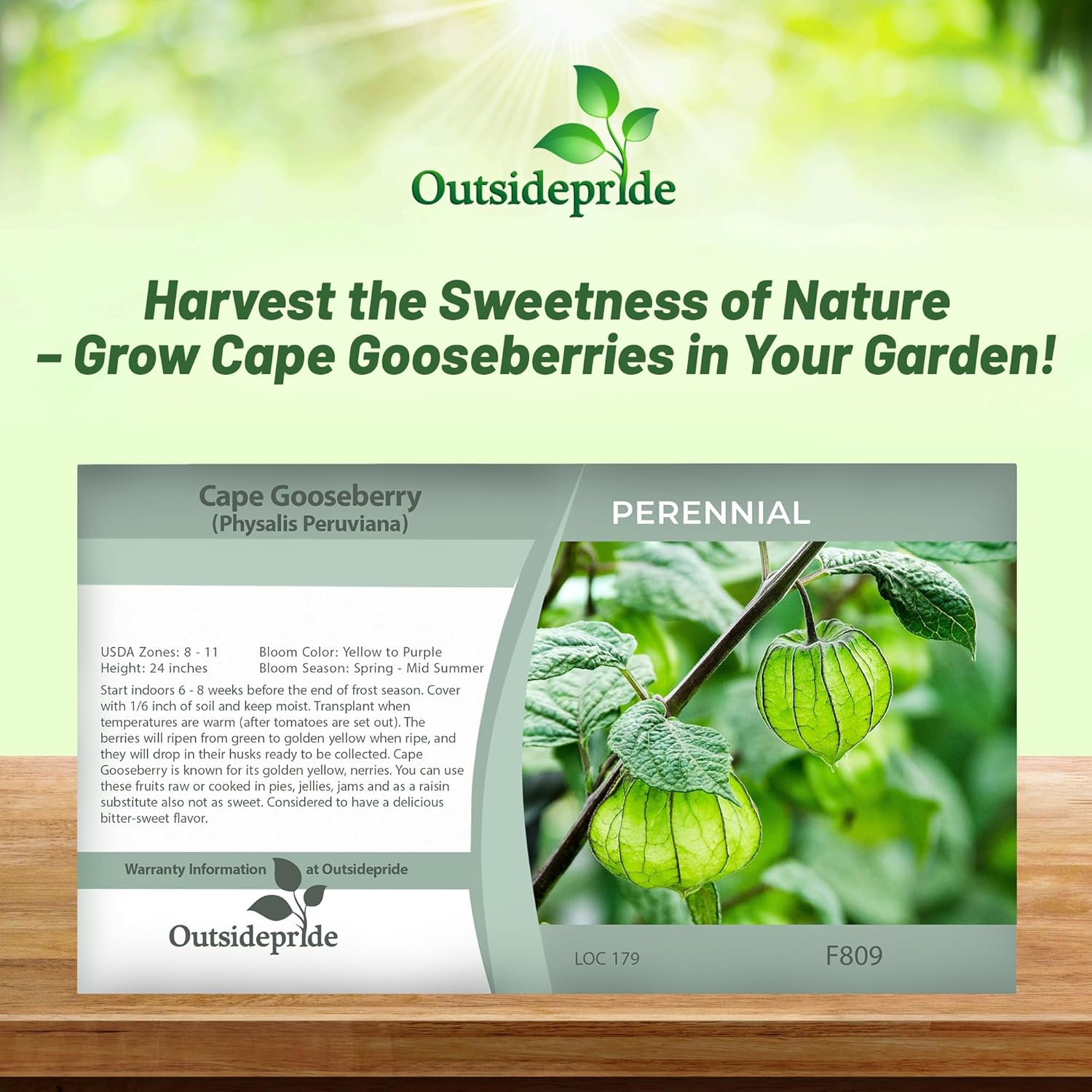 Cape Gooseberry Seed Packet