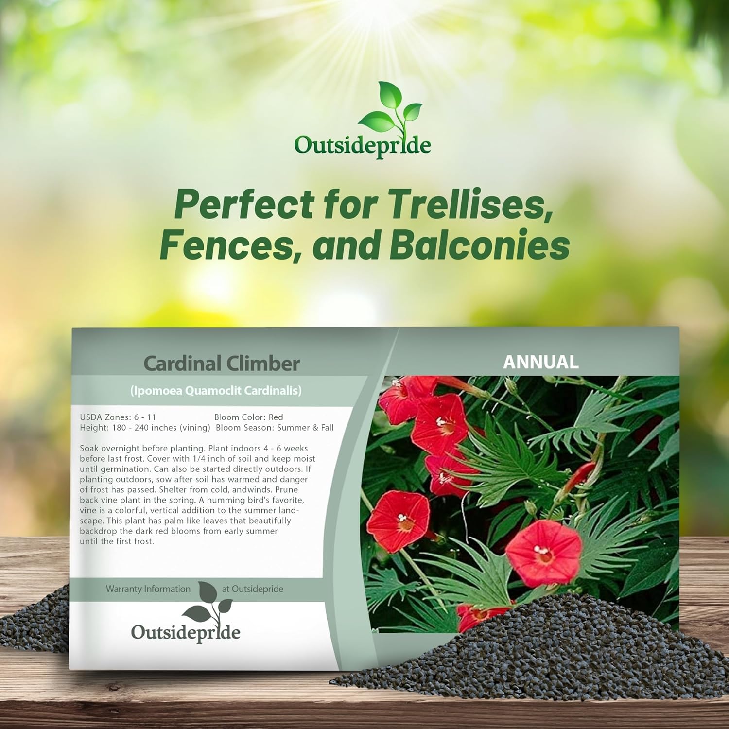 Cardinal Climber Flower Seed Packet
