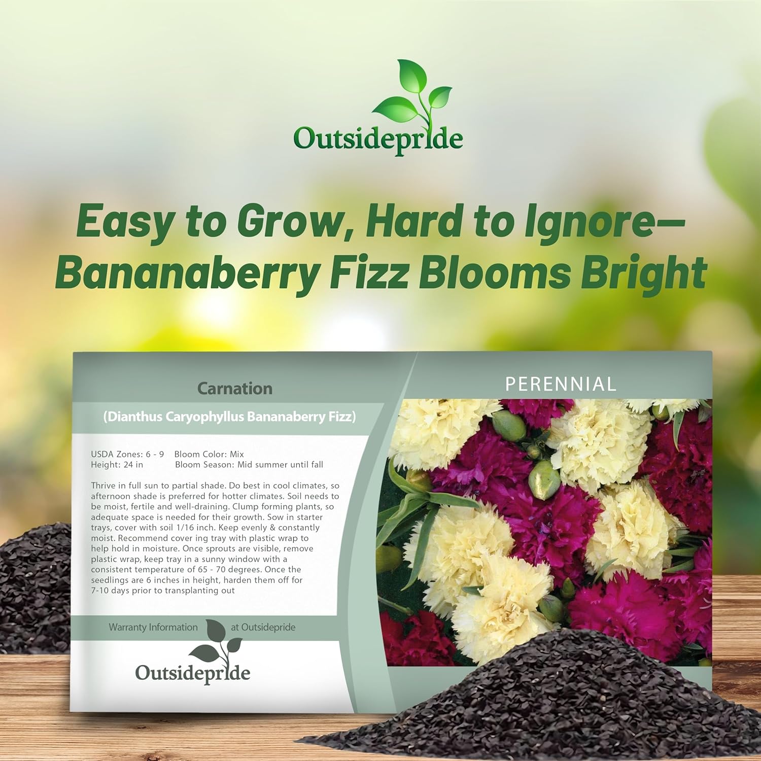 Carnation Bananaberry Fizz Seed Packet