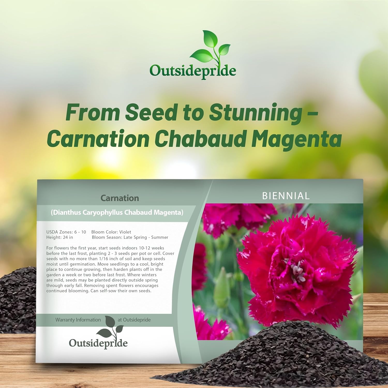 Carnation Chabaud Magenta Seed Packet