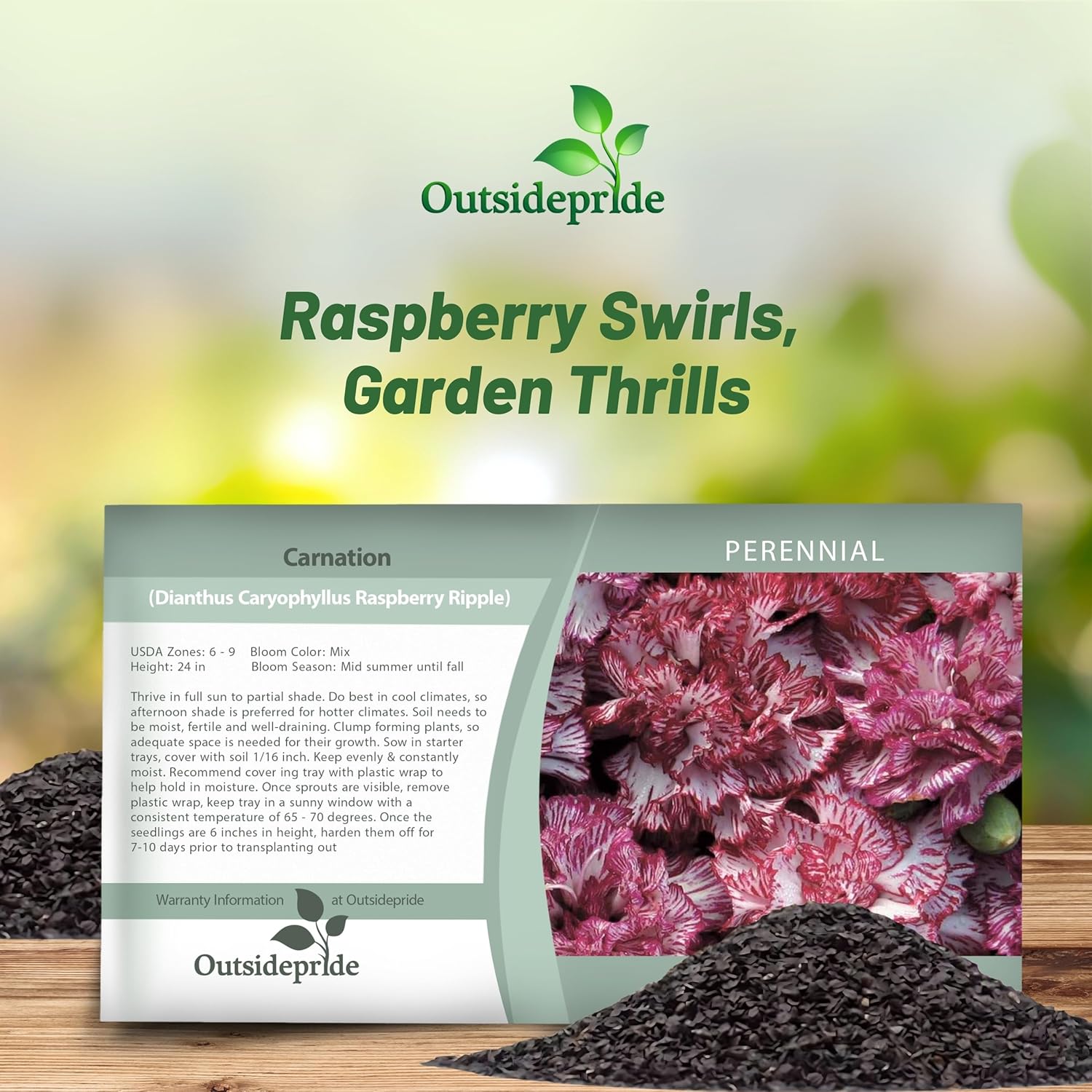 Carnation Raspberry Ripple Seed Packet