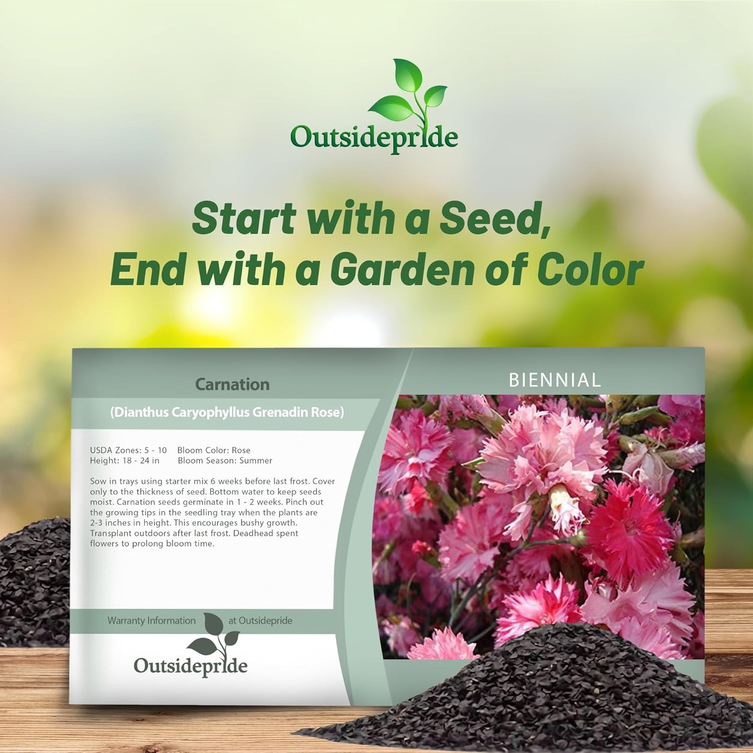 Carnation Rose Seed Packet
