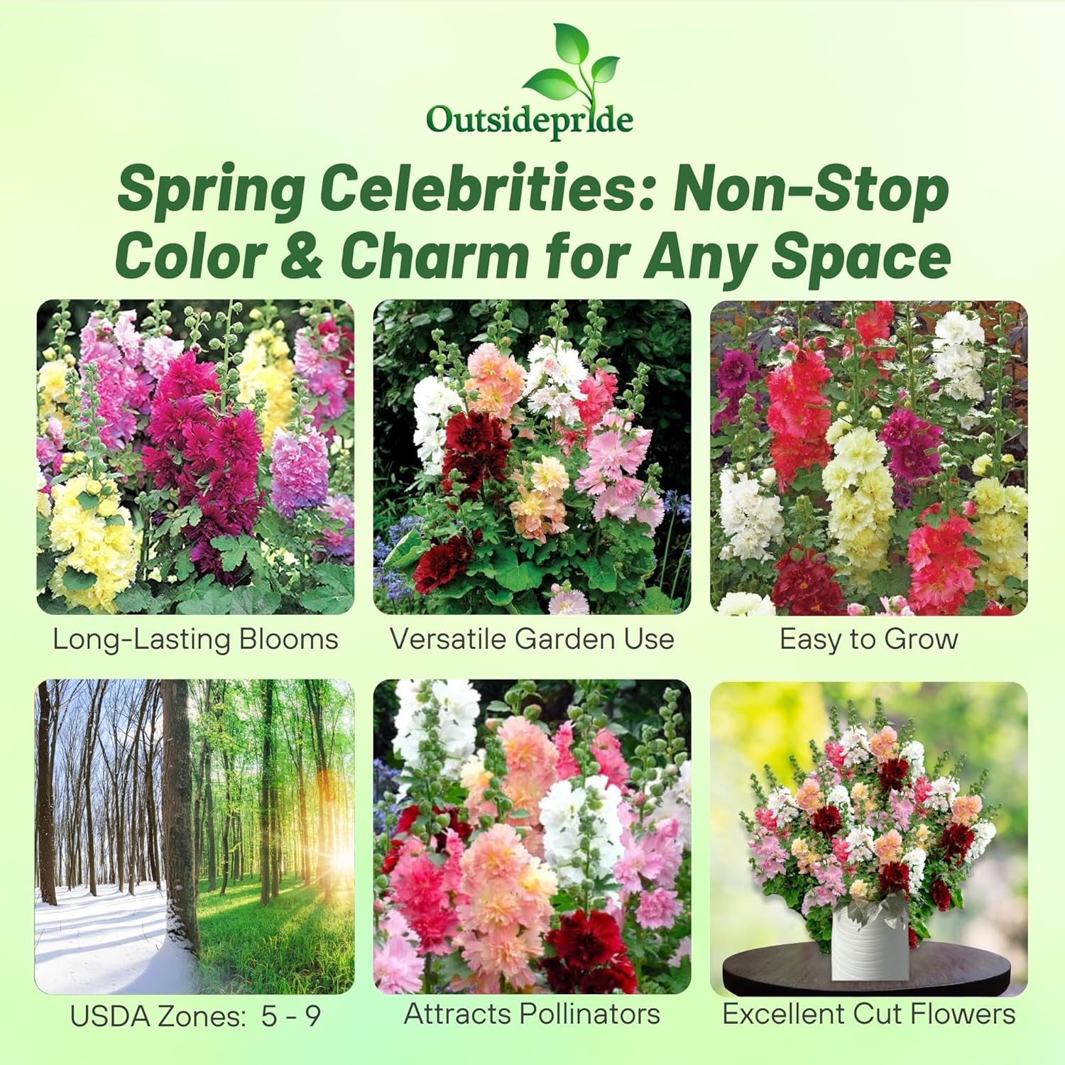 Hollyhock Spring Celebrities Flower Seeds