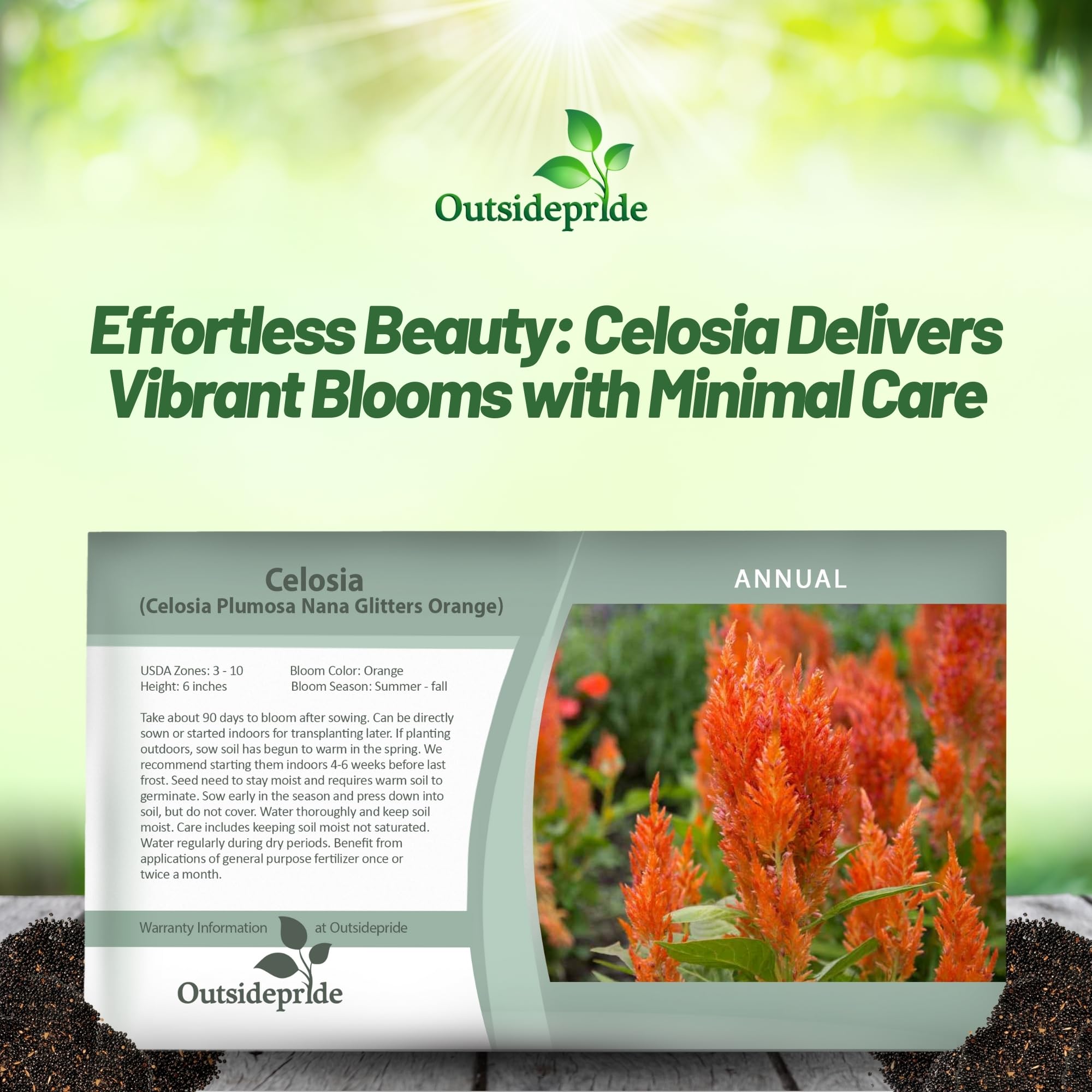 Celosia Plumosa Orange Planting Directions