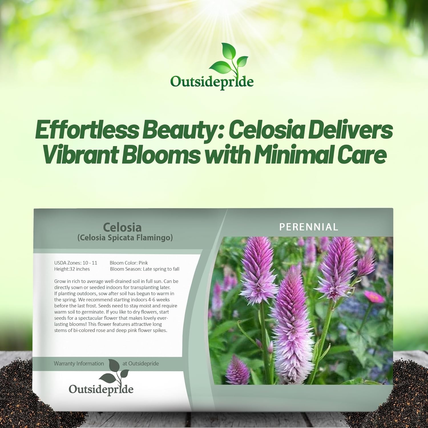 Celosia Spicata Flamingo Seed Packet
