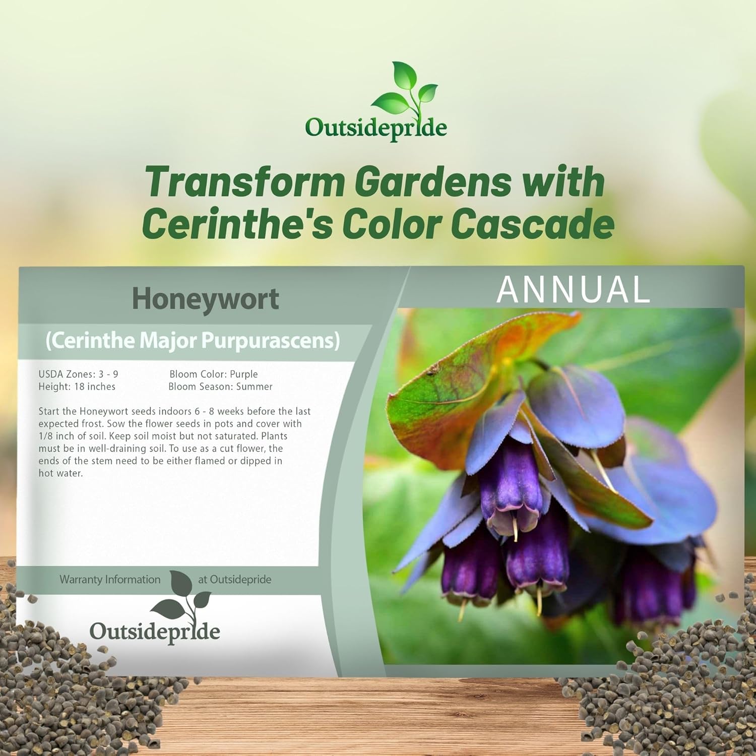 Cerinthe Major Seed Packet