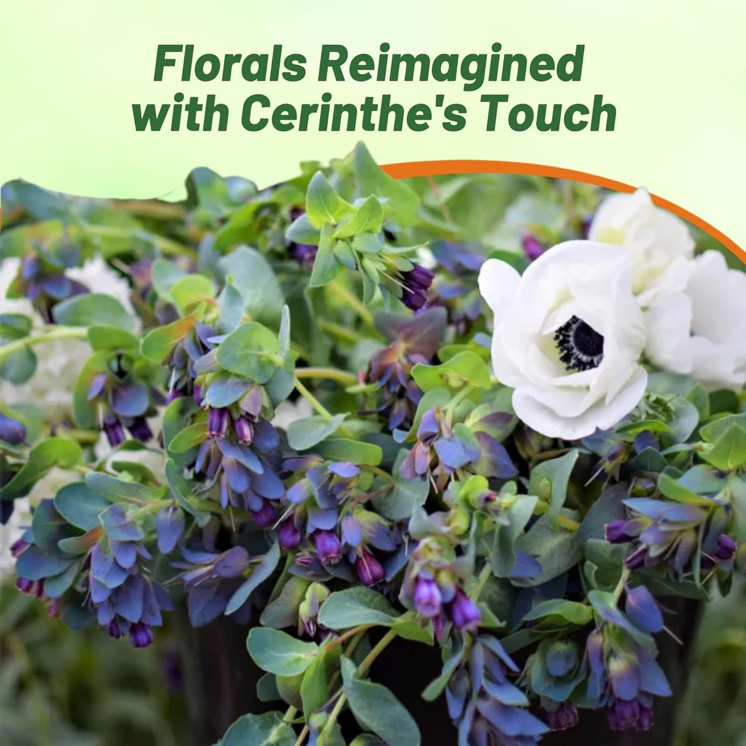 Honeywort Hummingbird Magnet