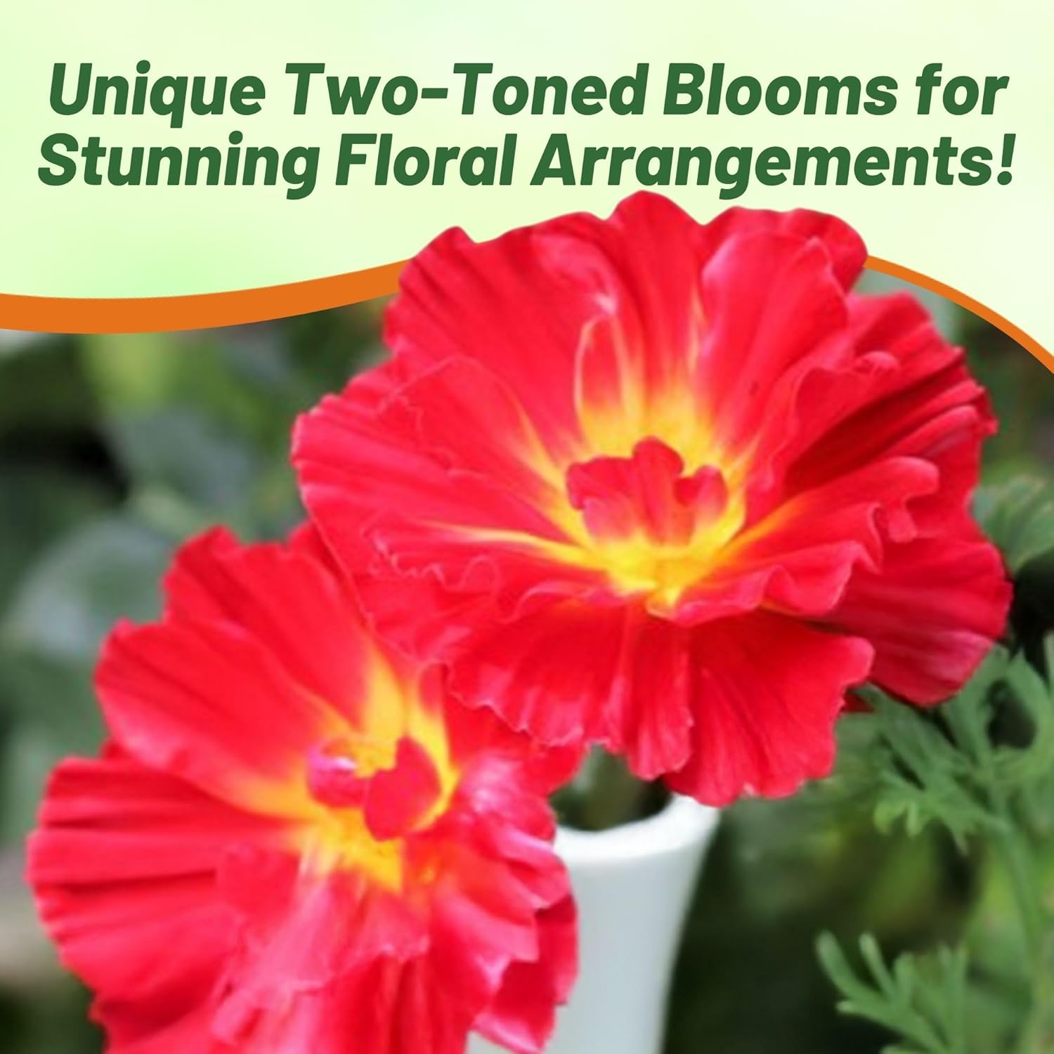 California Poppy Cherry Swirl Planting Directions
