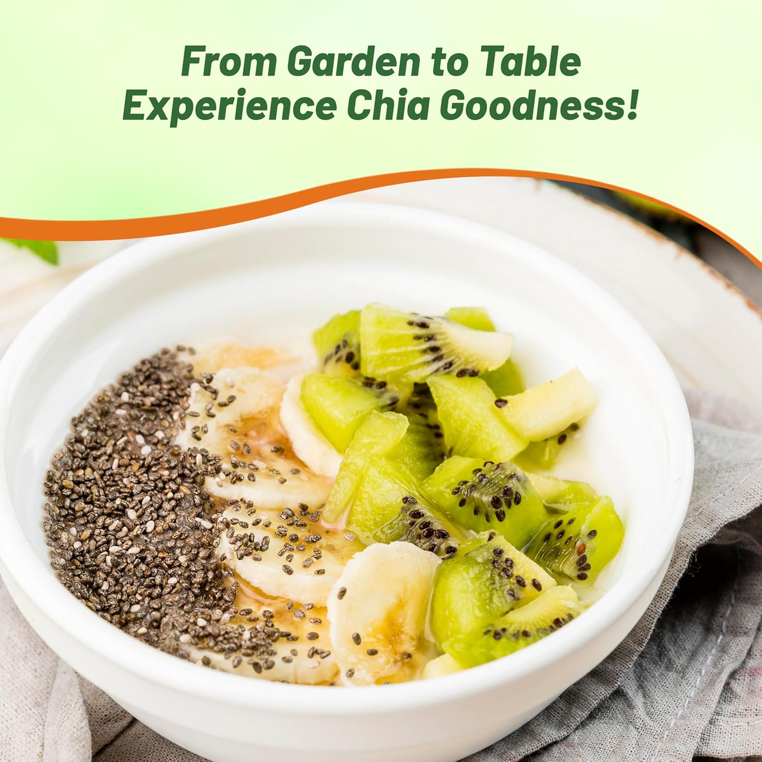 Perennial Chia Herb Culinary Uses