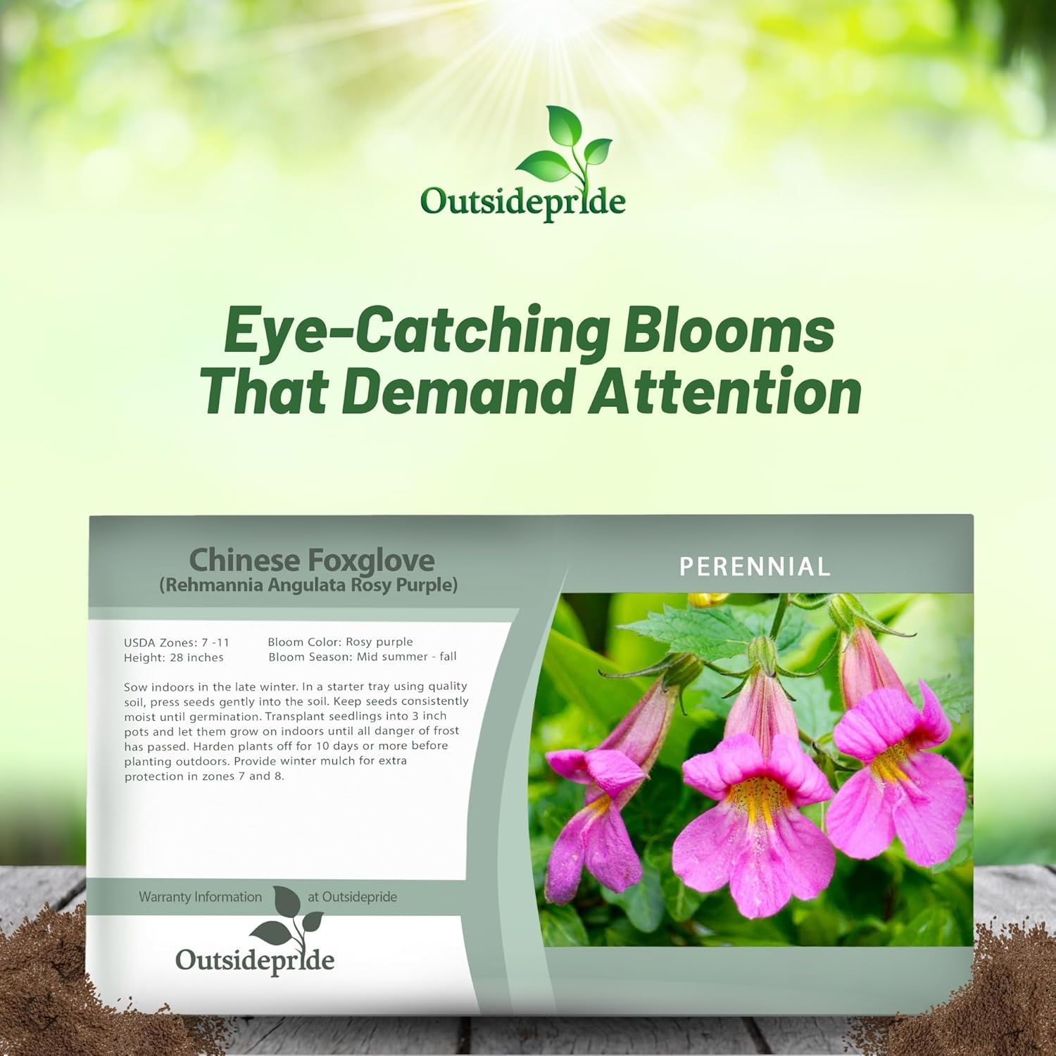 Chinese Foxglove Flower Seed Packet