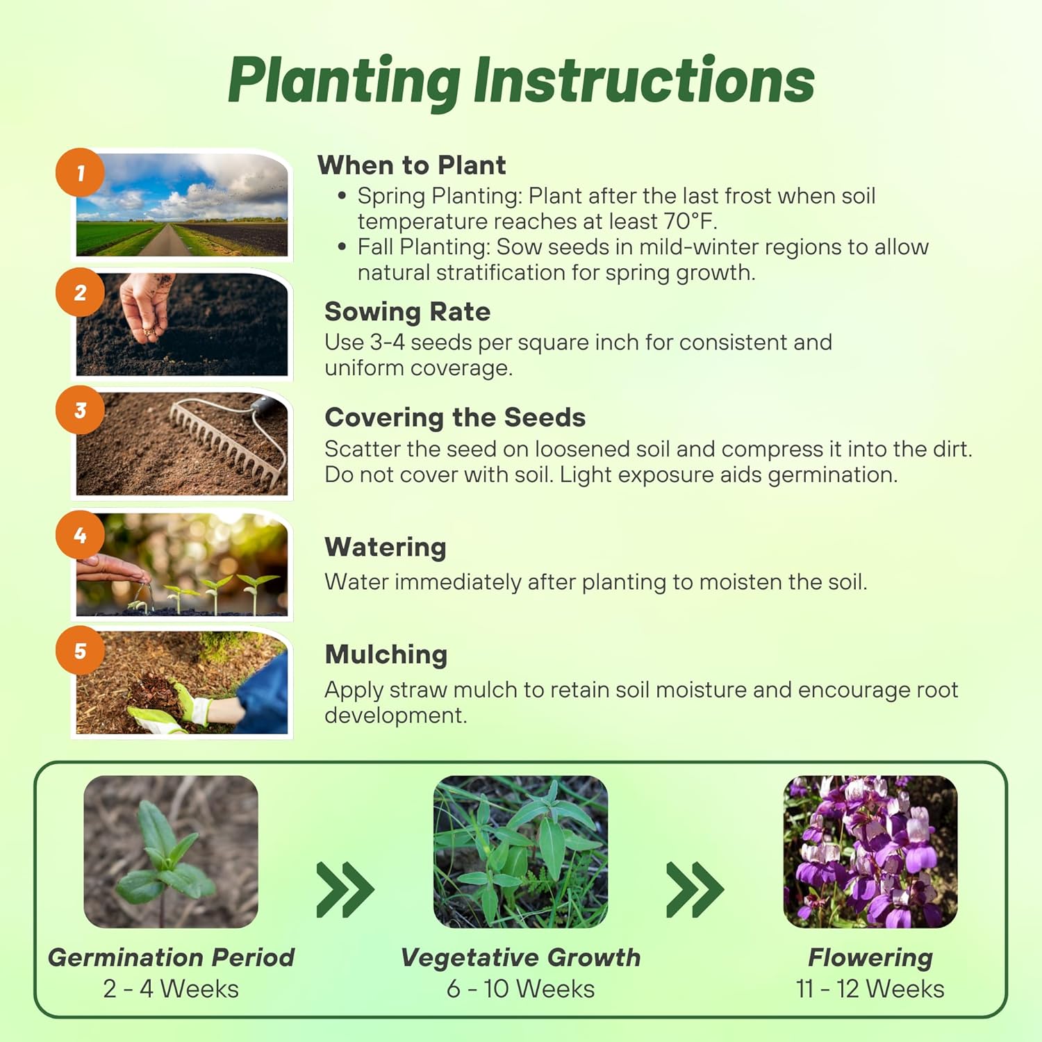 Chinese Houses Seed Planting Directions