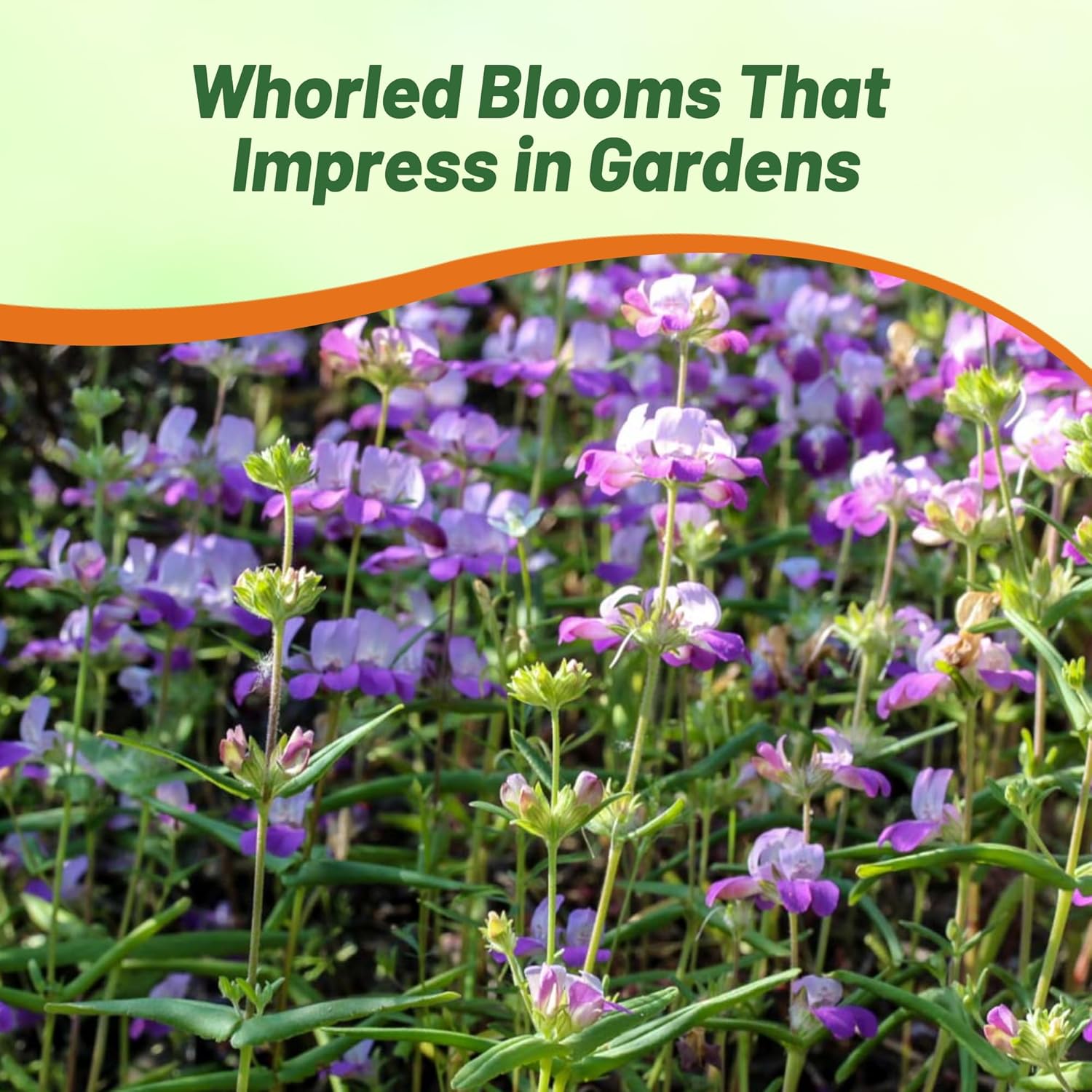 Chinese Houses Pollinating Flowers