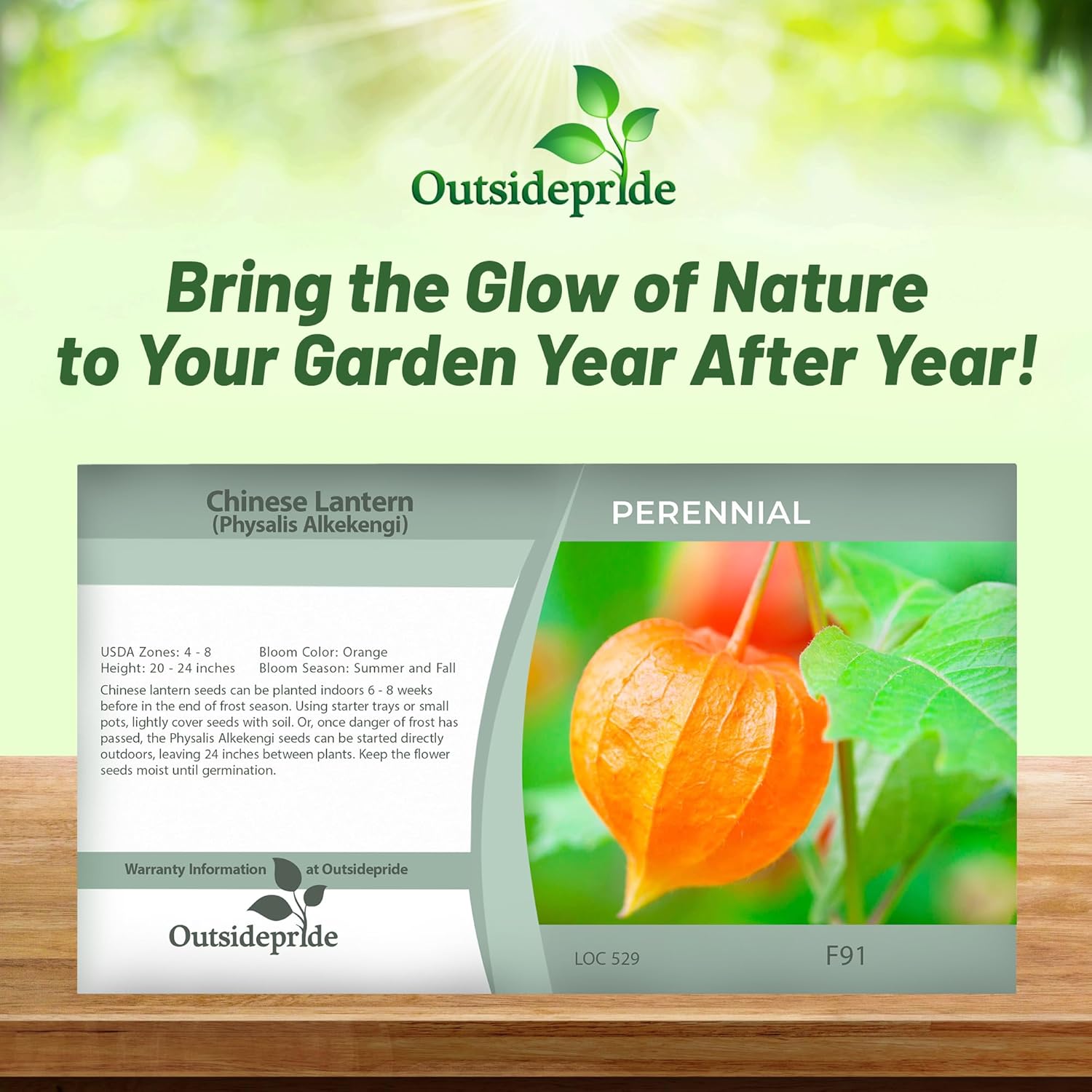 Chinese Lantern Flower Seed Packet