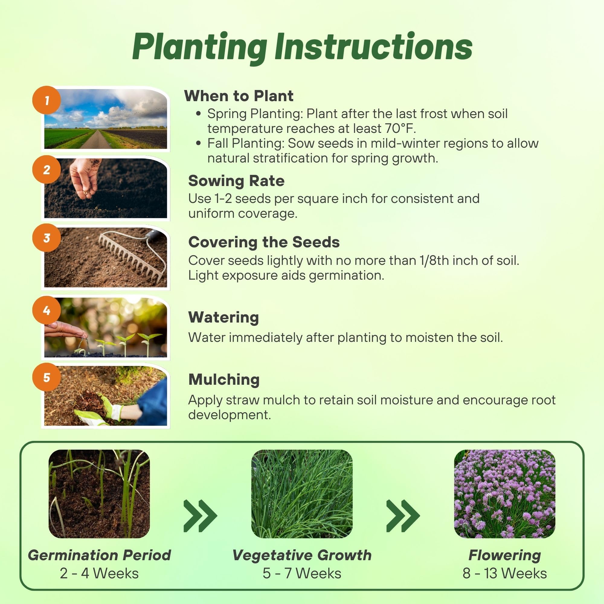 Chives Uses & Benefits