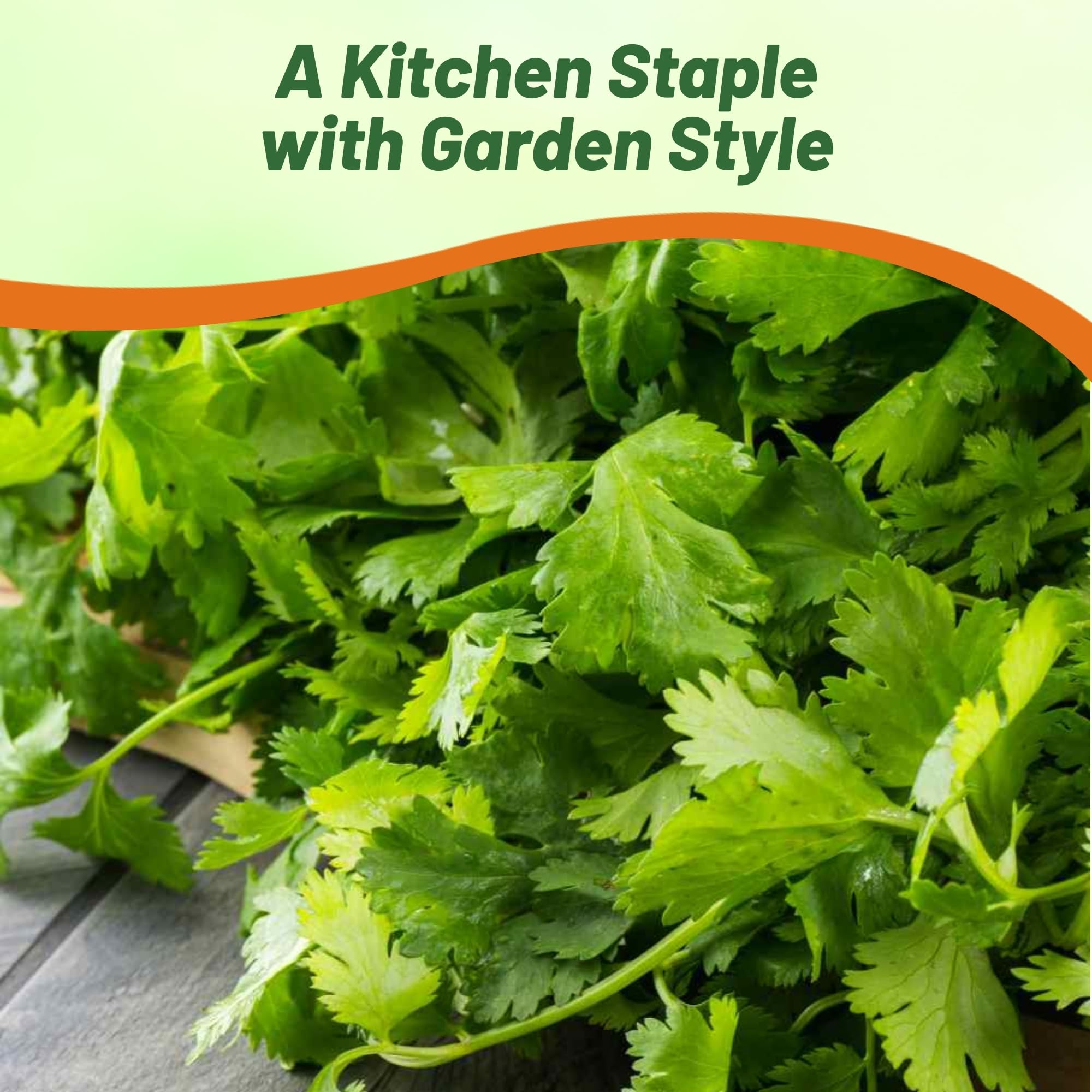 Cilantro Benefits