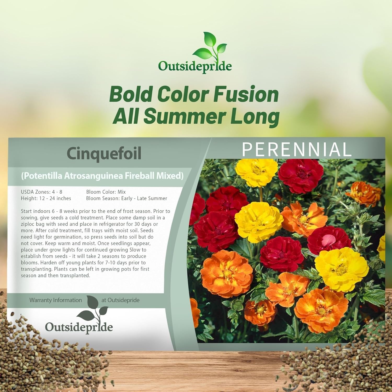 Cinquefoil Fireball Flower Seed Packet Mix