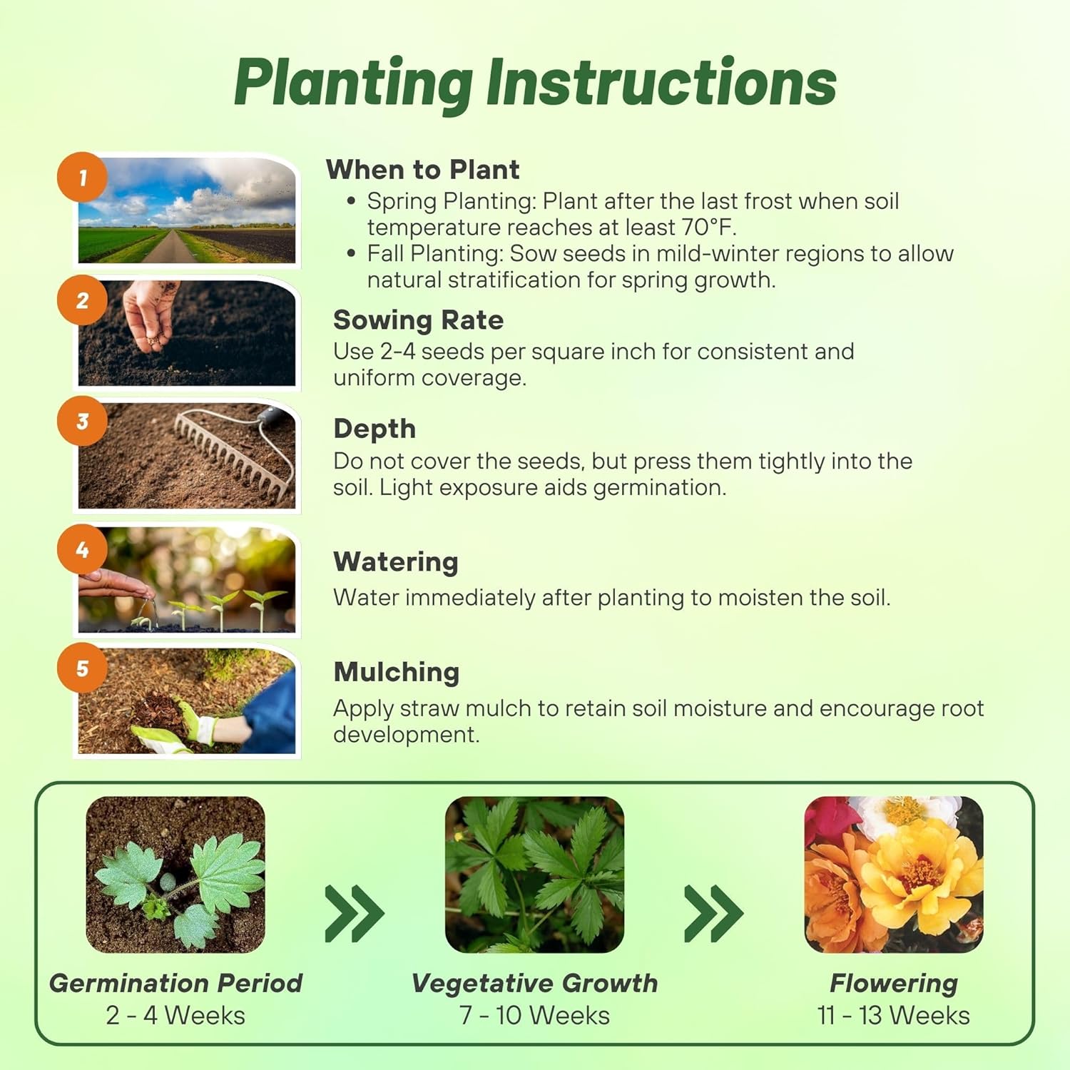 Cinquefoil Fireball Seed Planting Directions