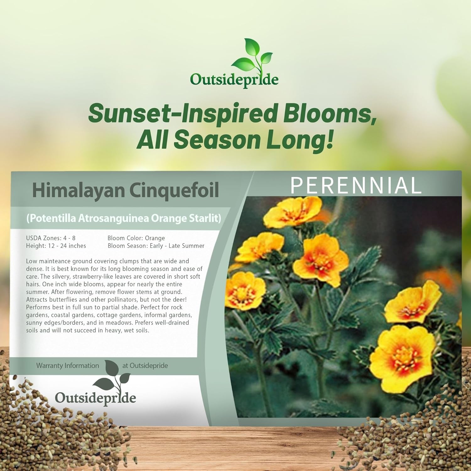 Cinquefoil Orange Starlit Flower Seed Packet