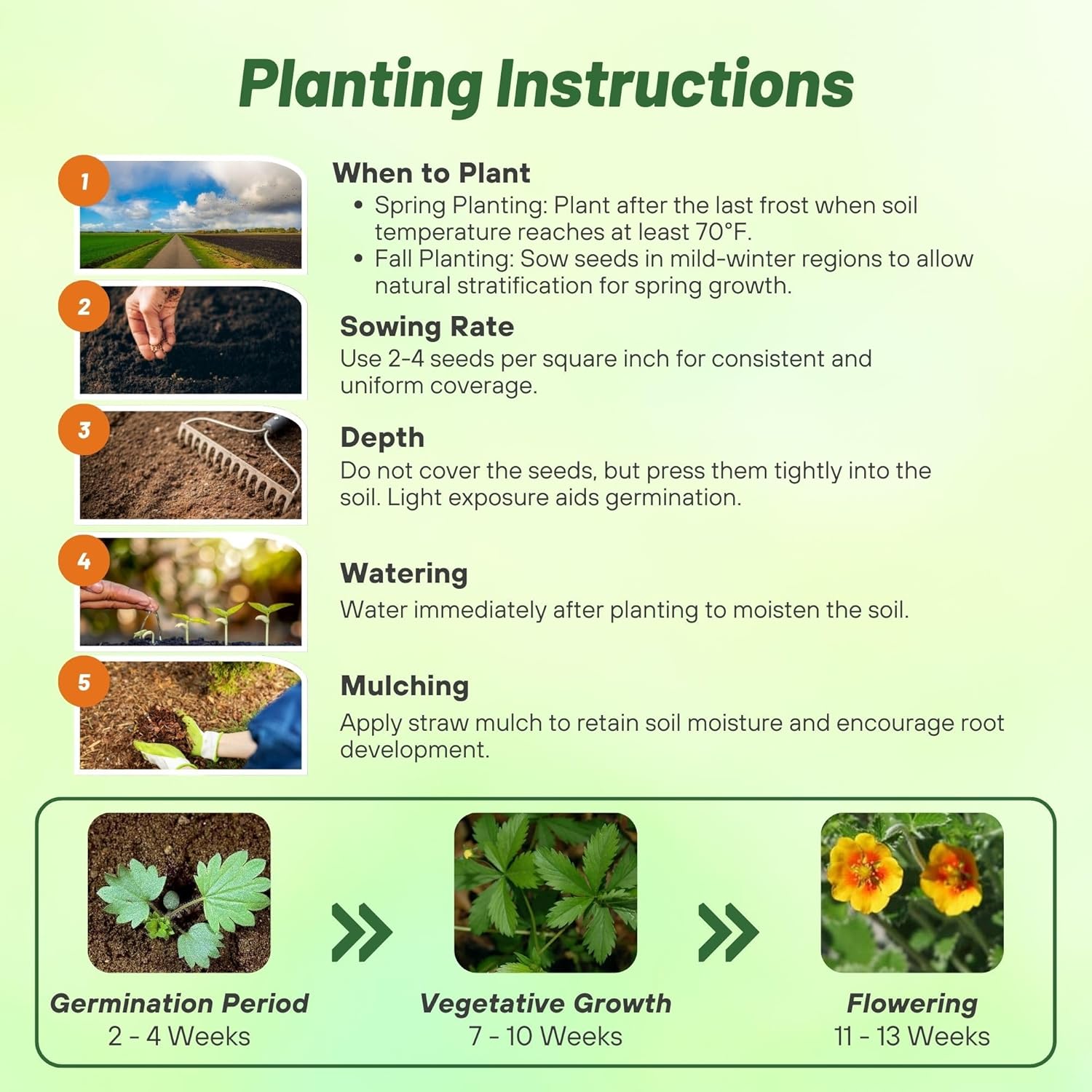 Himalayan Cinquefoil Orange Starlit Seed Planting Directions