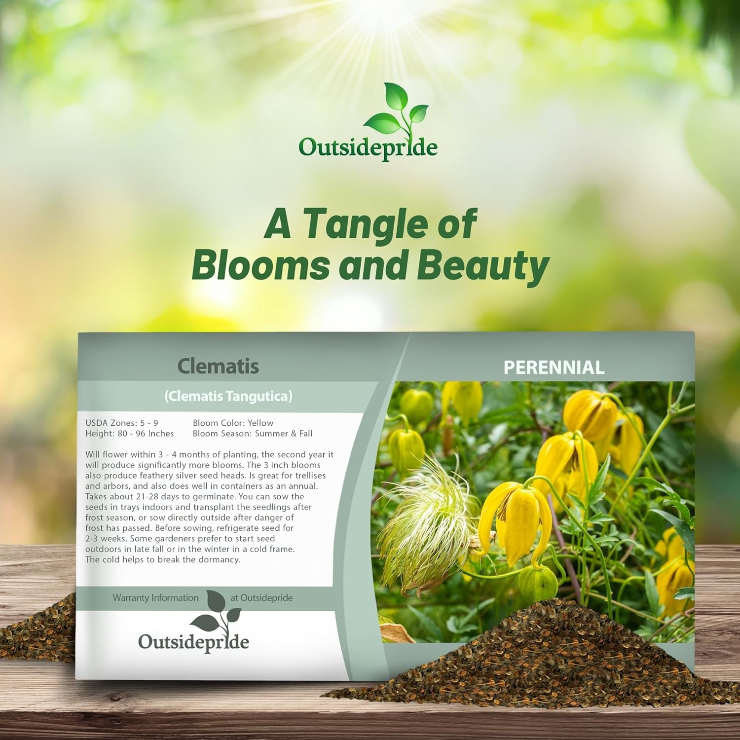 Clematis Flower Seed Packet