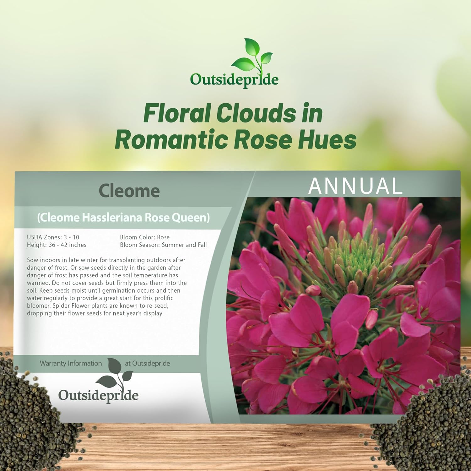 Cleome Rose Flower Seed Packet